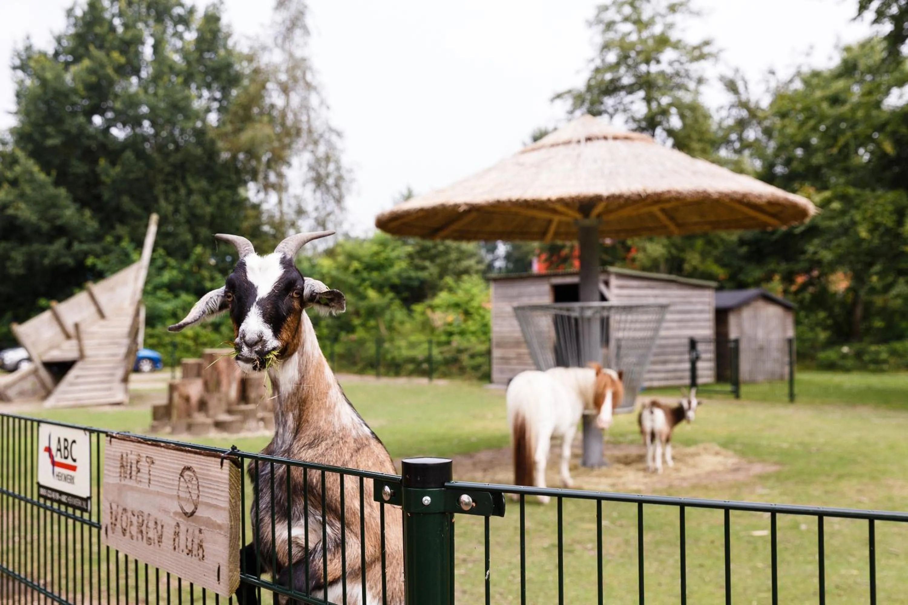 Animals in RCN Zeewolde