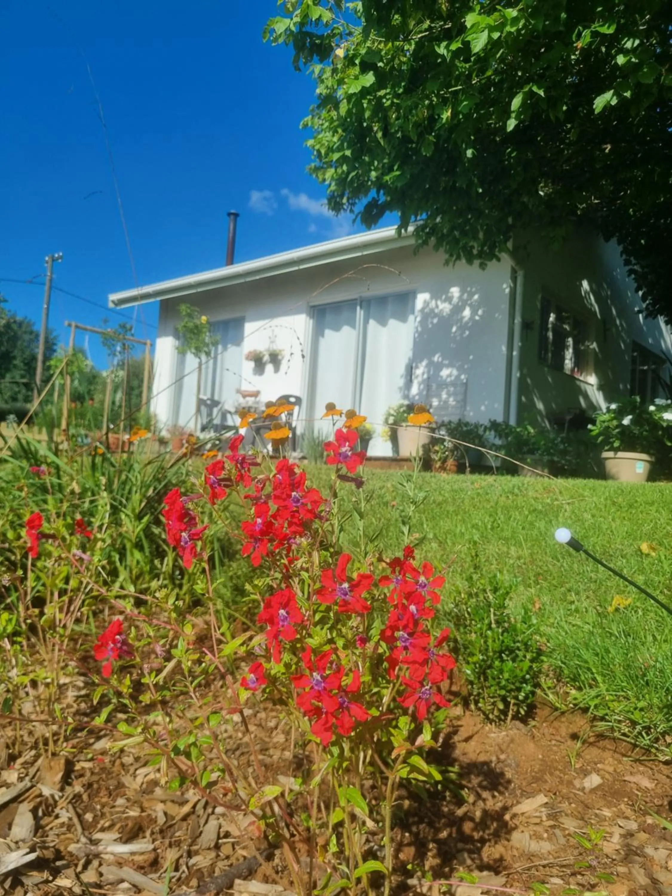 The Cottage on the Corner