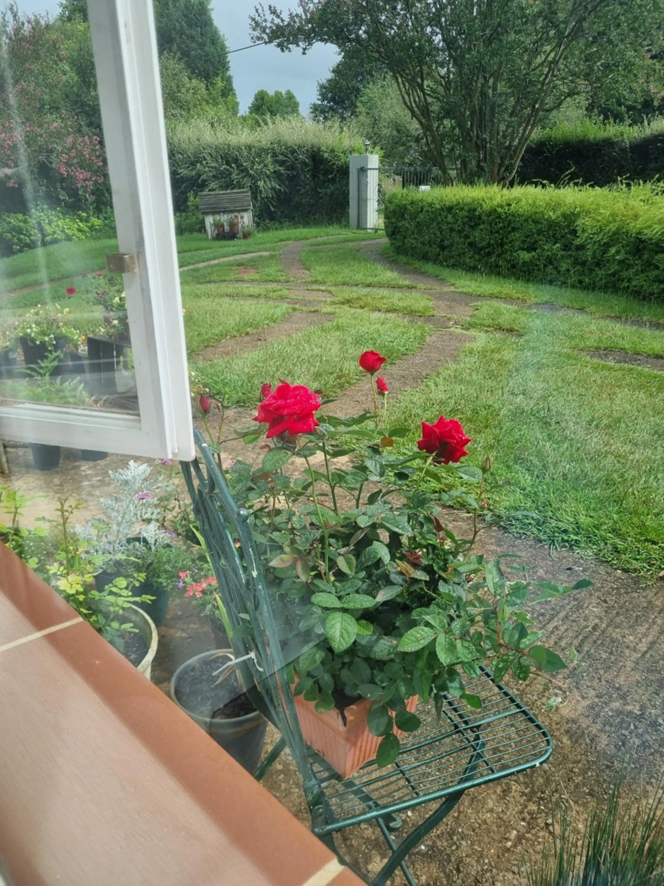 The Cottage on the Corner