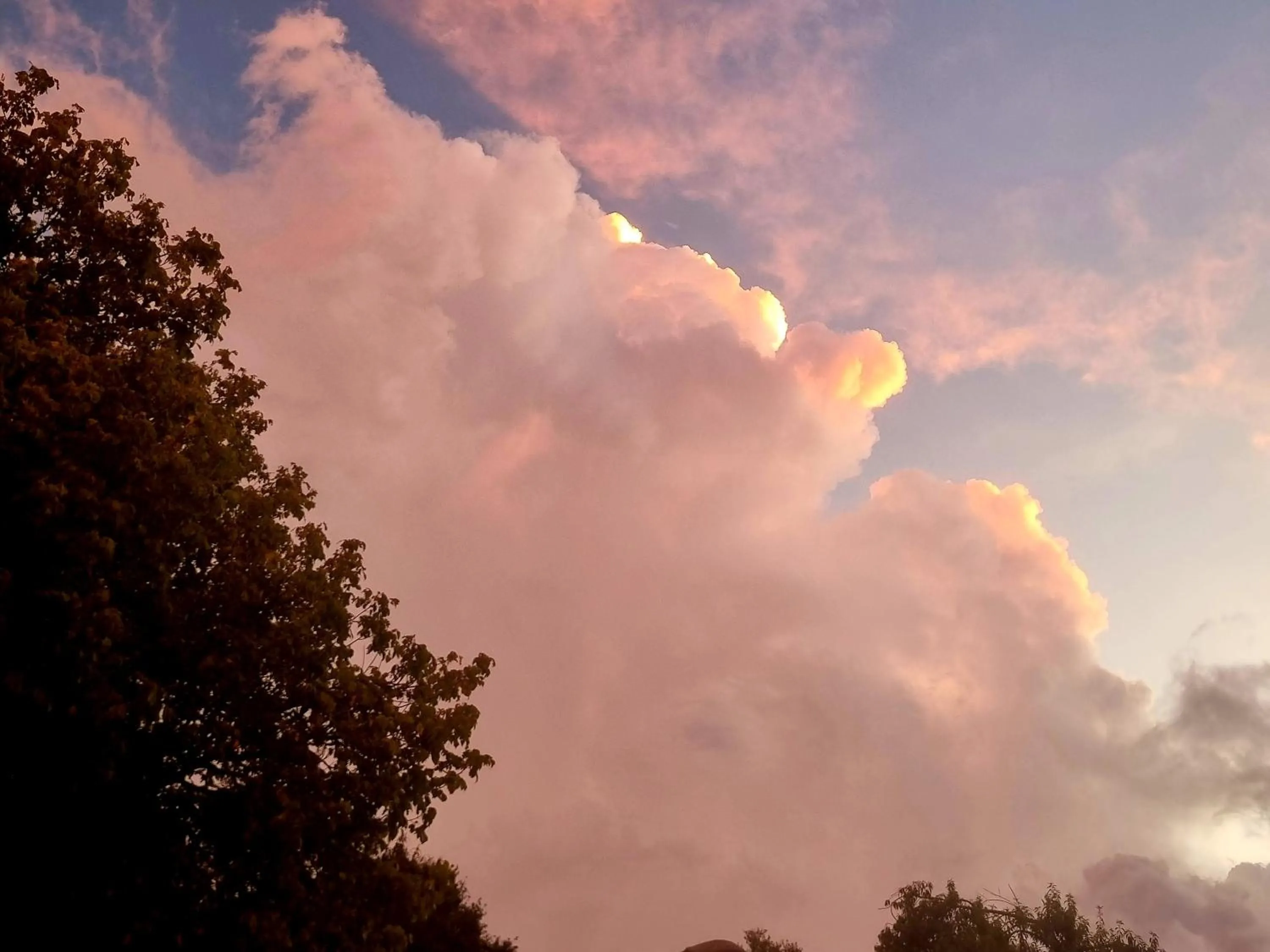 The Cottage on the Corner