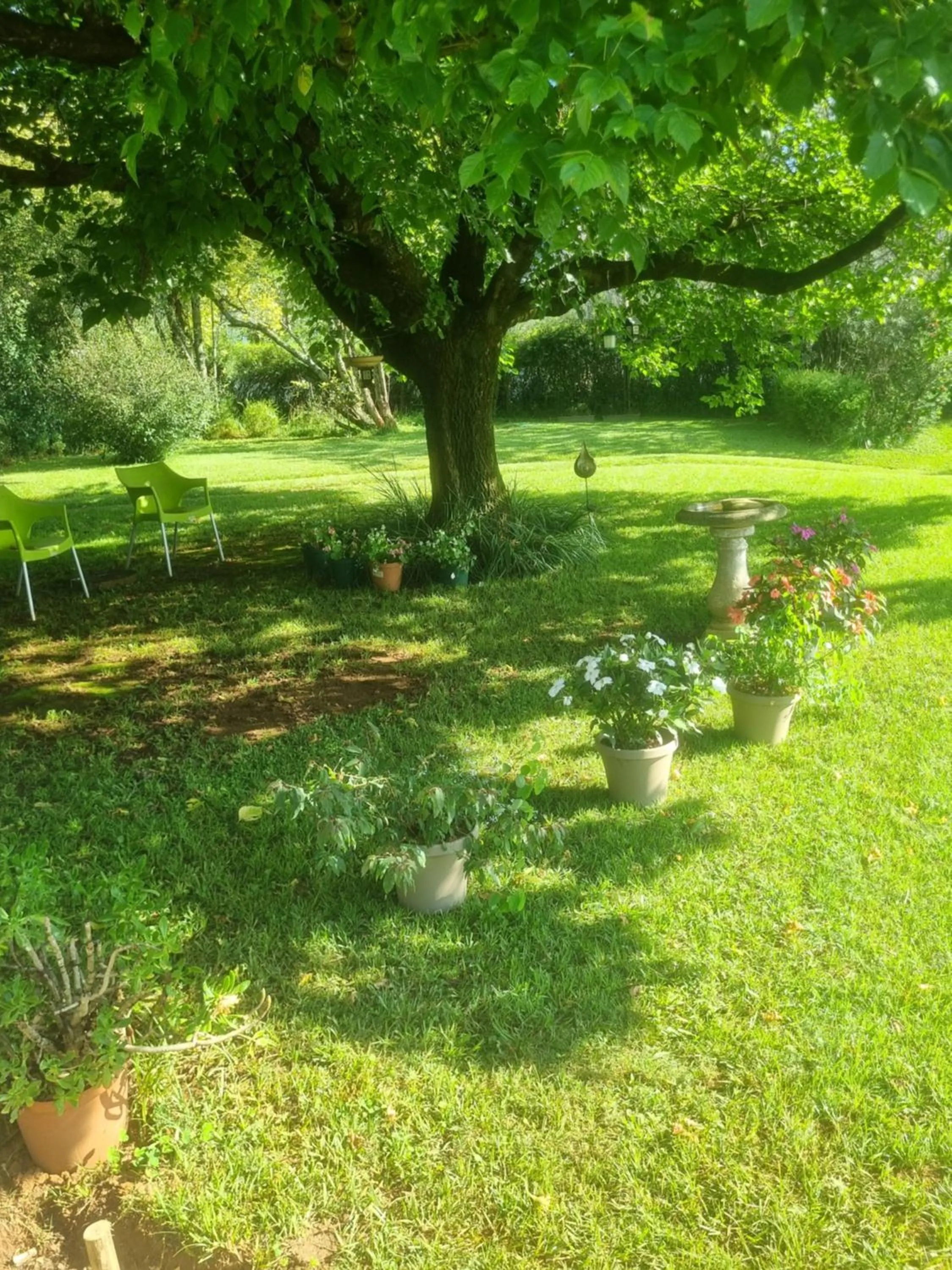 The Cottage on the Corner