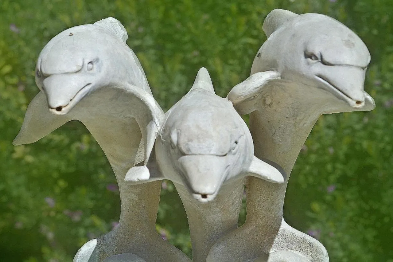 Villa Dolphins