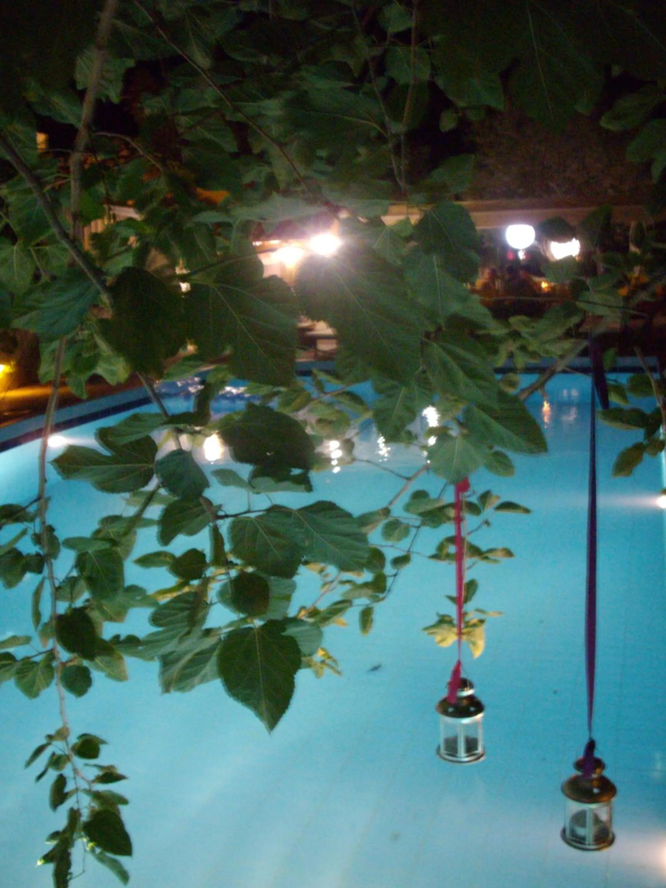 Night in Villa Dolphins