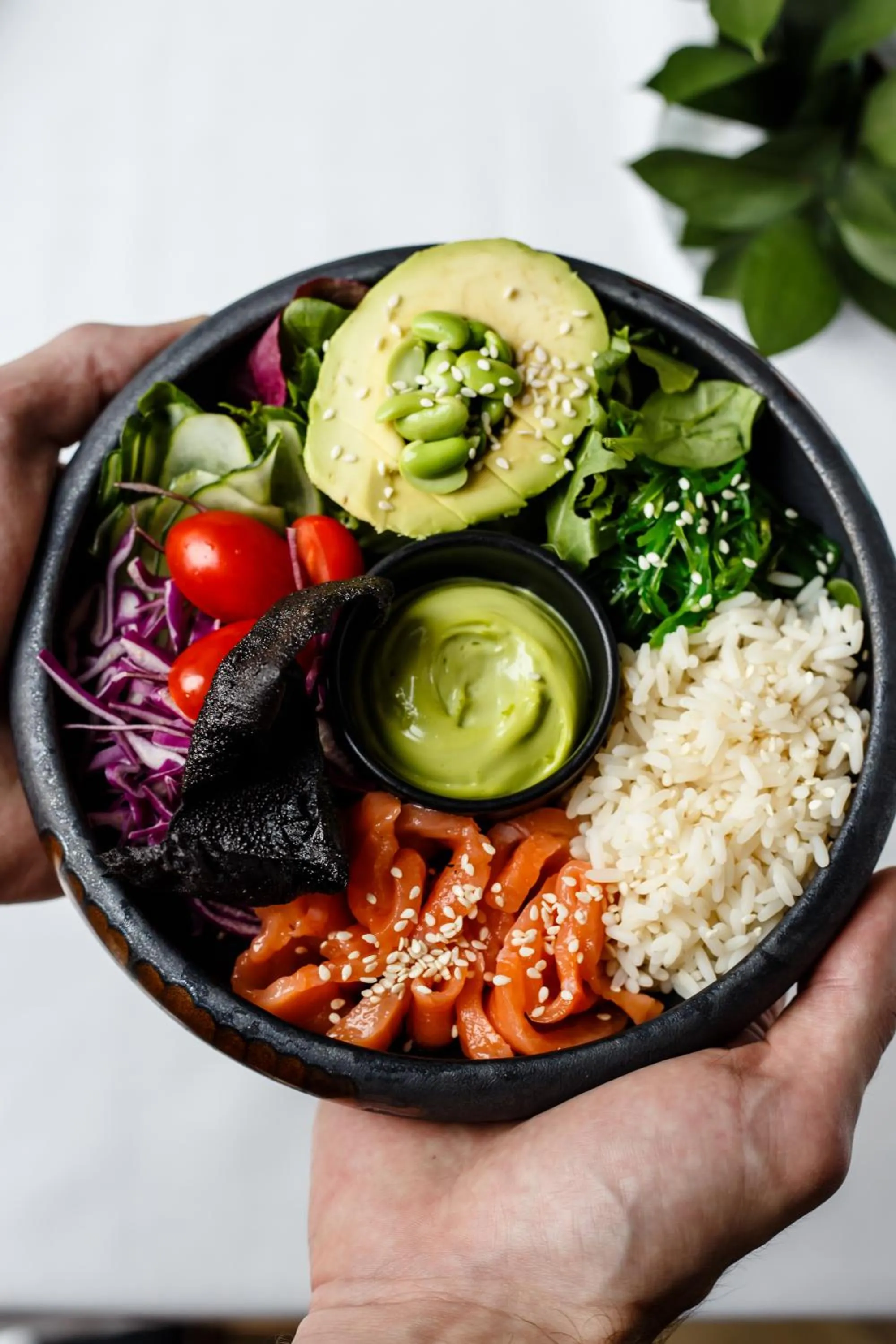 Food and drinks in Wasa Resort Hotel, Apartments & SPA