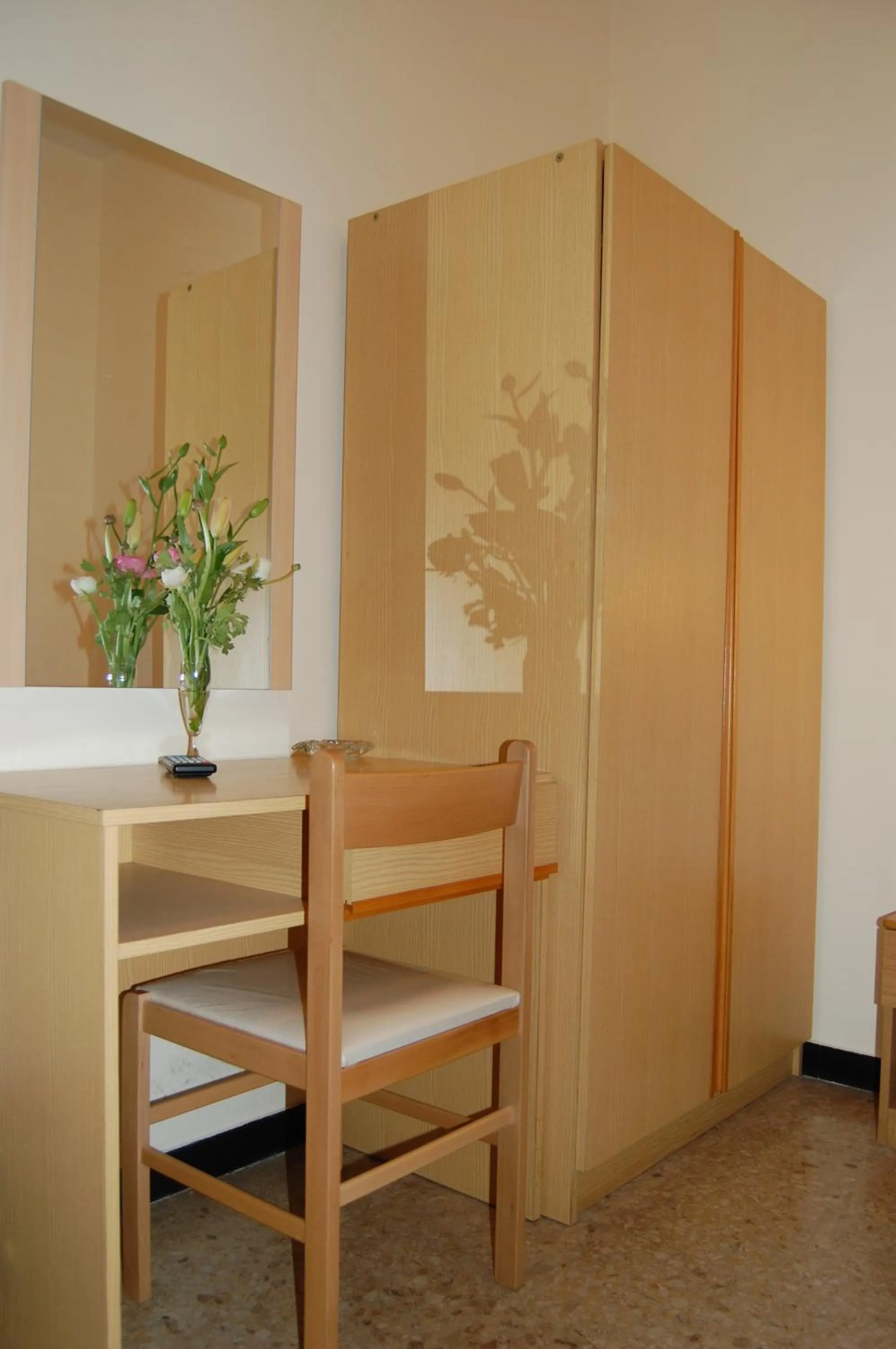 Area and facilities in Hotel Aurora