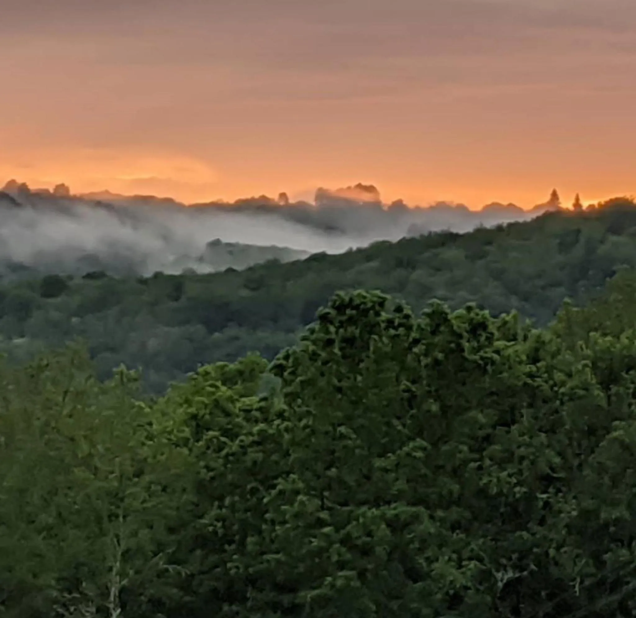 View (from property/room) in Domaine de Fleurie