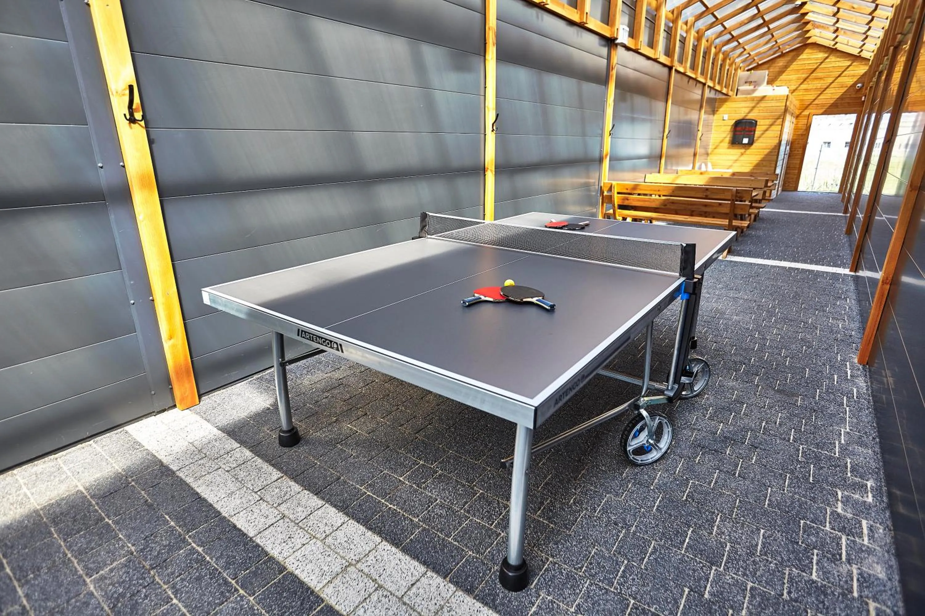 Table tennis in House Family