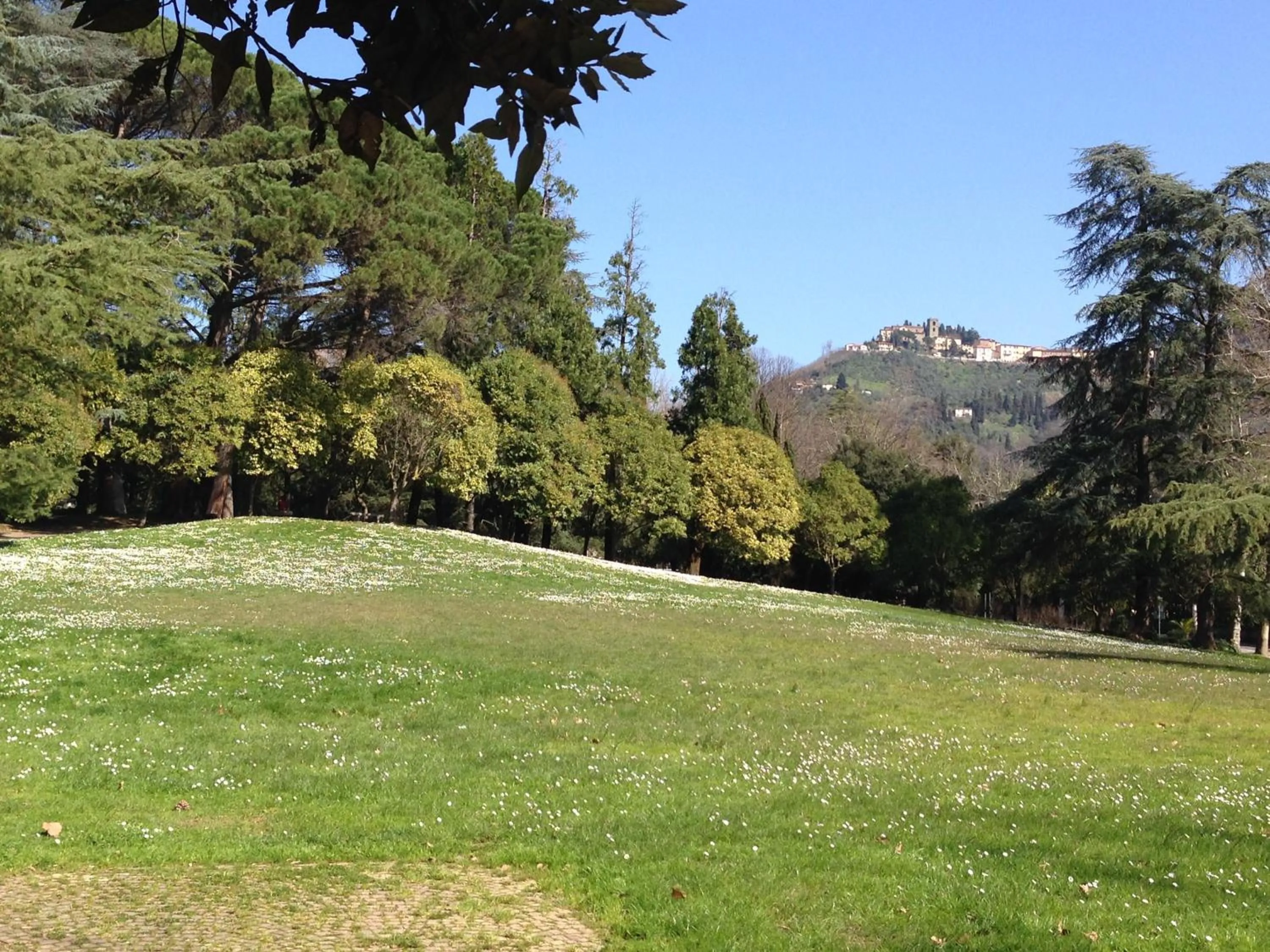 Other in Residence Gloria