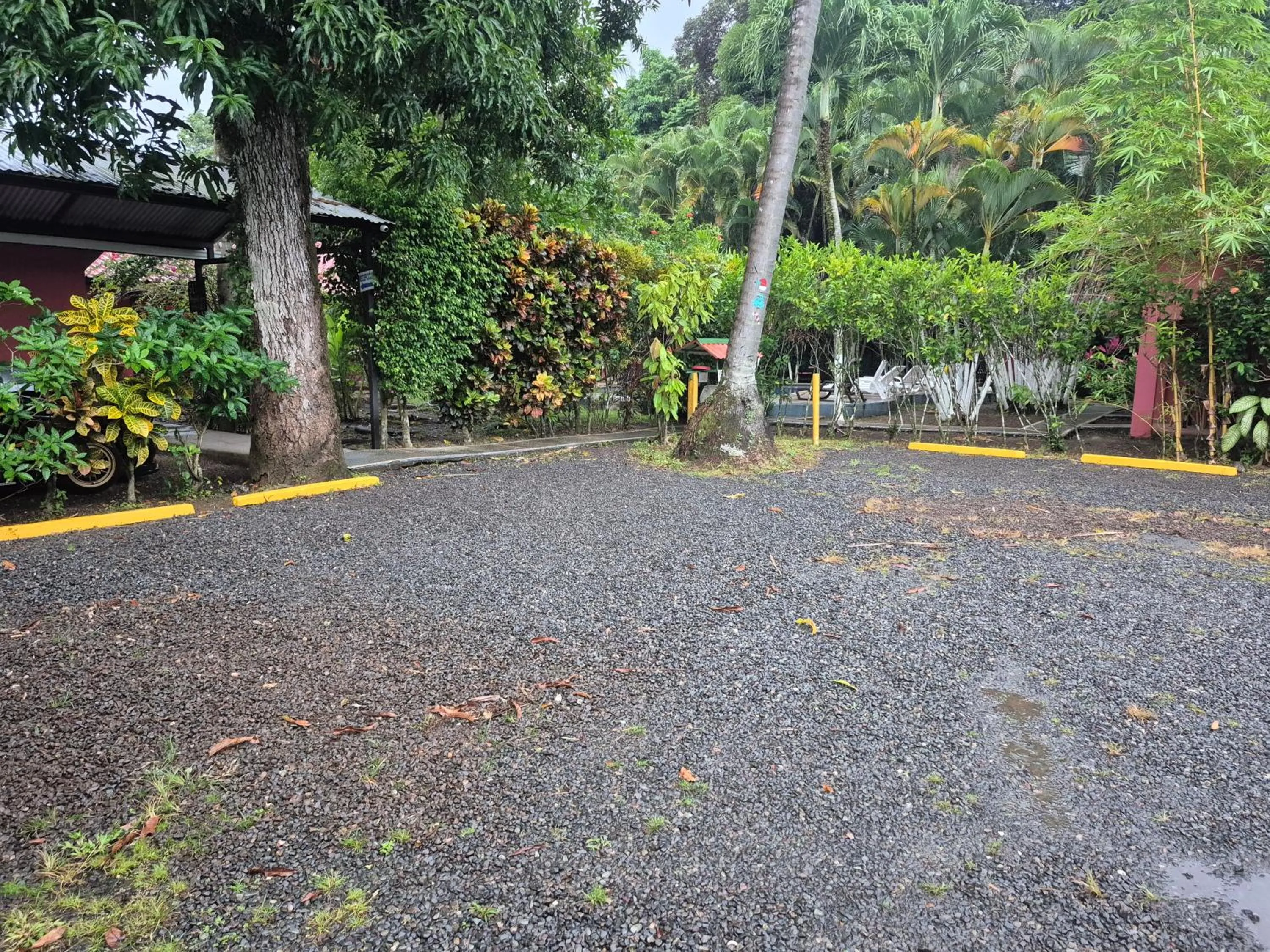 Garden in Hotel El Paraiso Escondido - Costa Rica