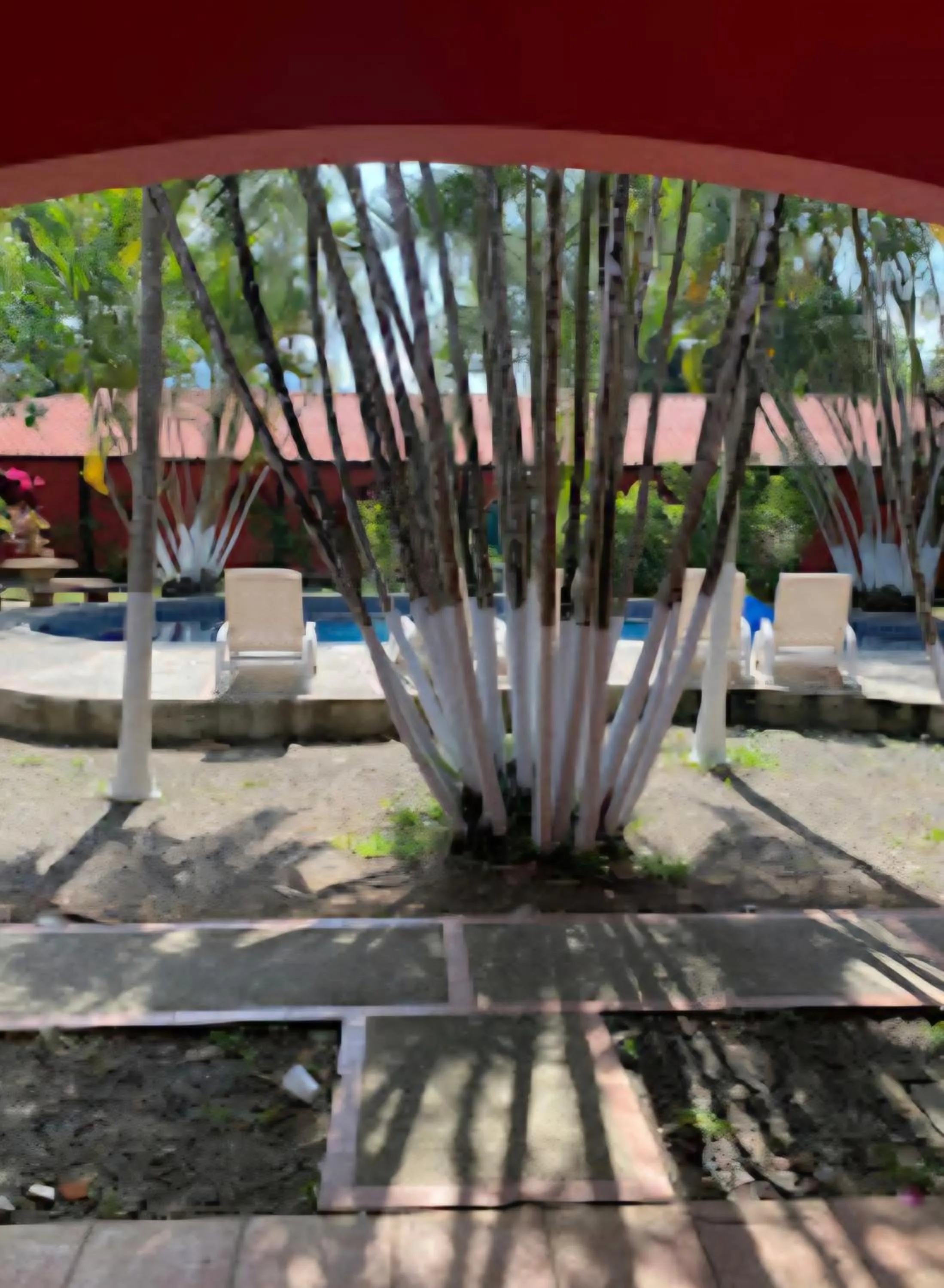 Property building in Hotel El Paraiso Escondido - Costa Rica