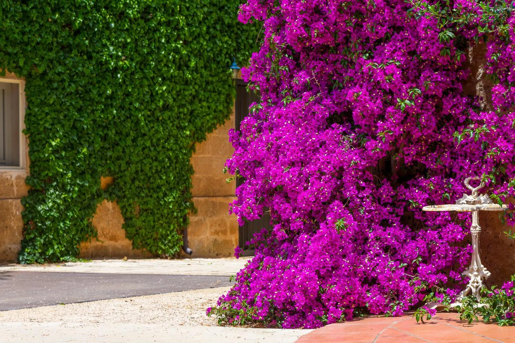 Masseria Baroni Nuovi