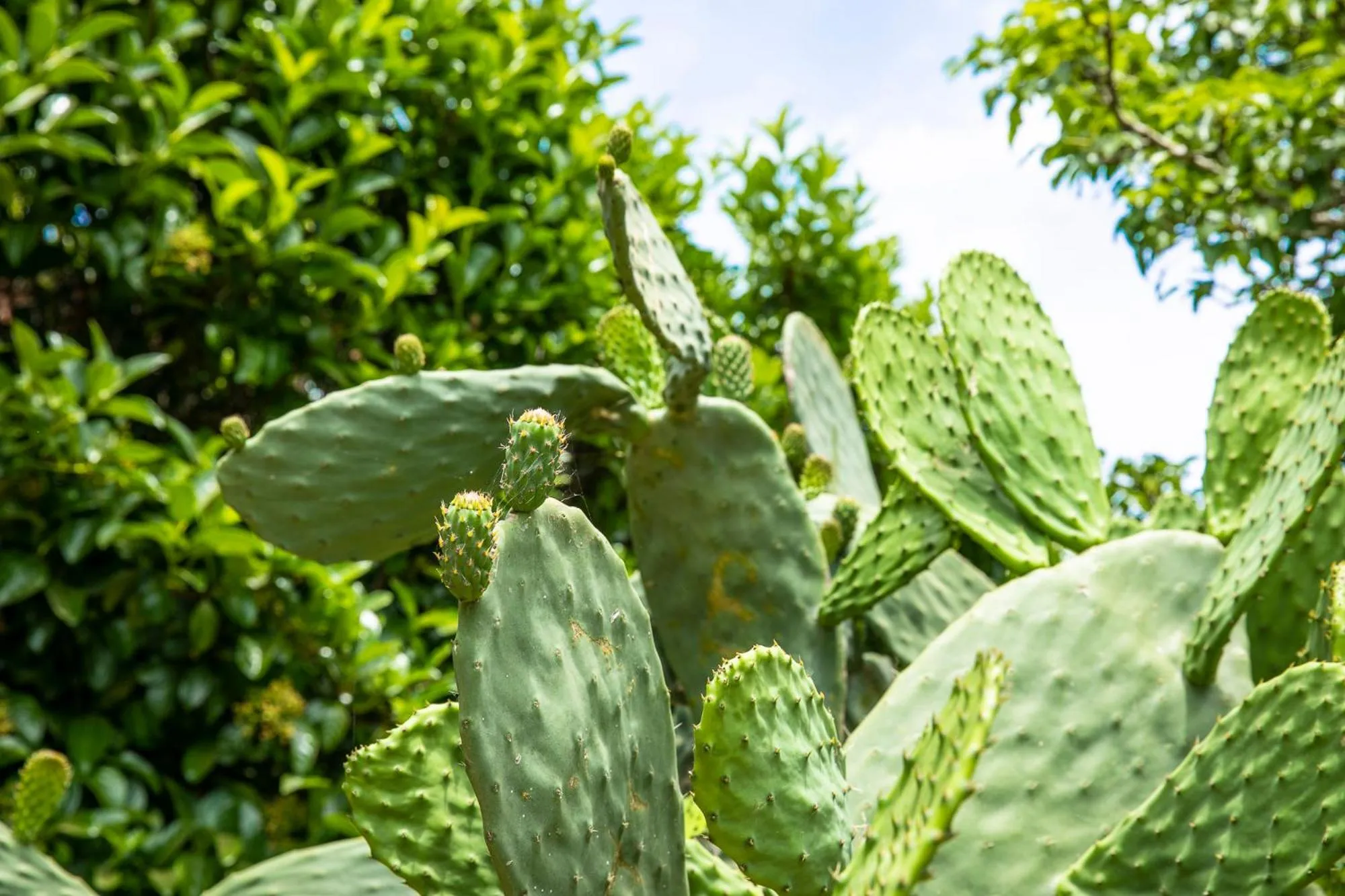 Masseria Baroni Nuovi