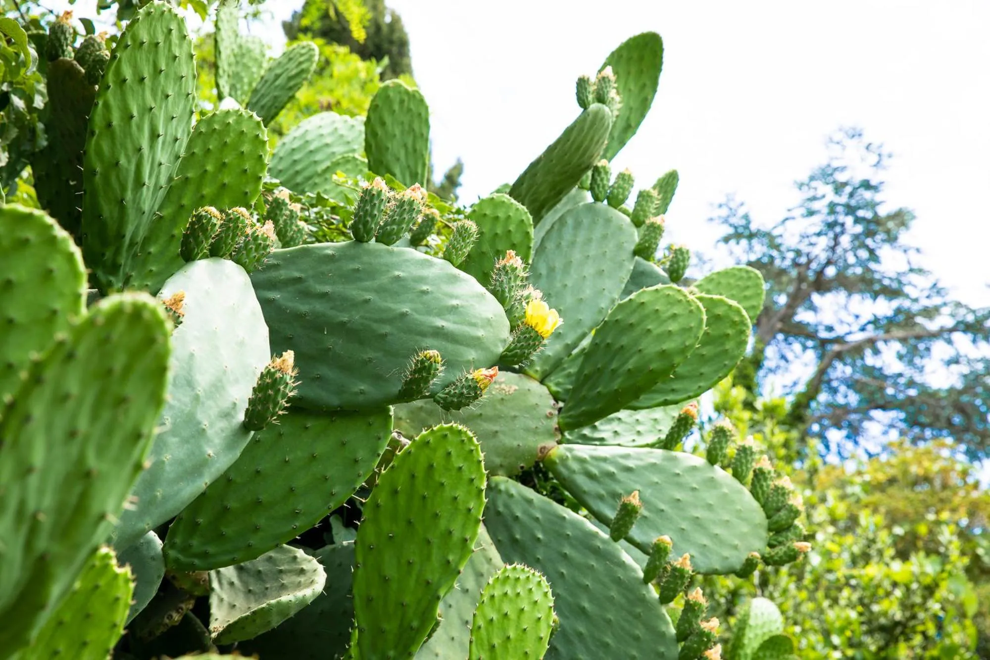 Masseria Baroni Nuovi