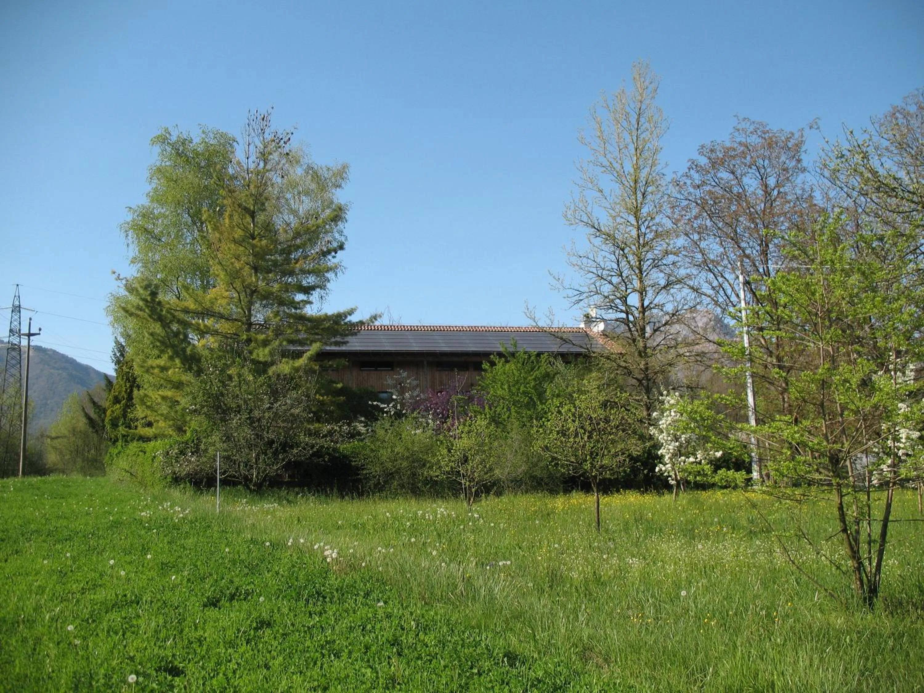 Garden in BioAgriturismo Vegan Campo di Cielo