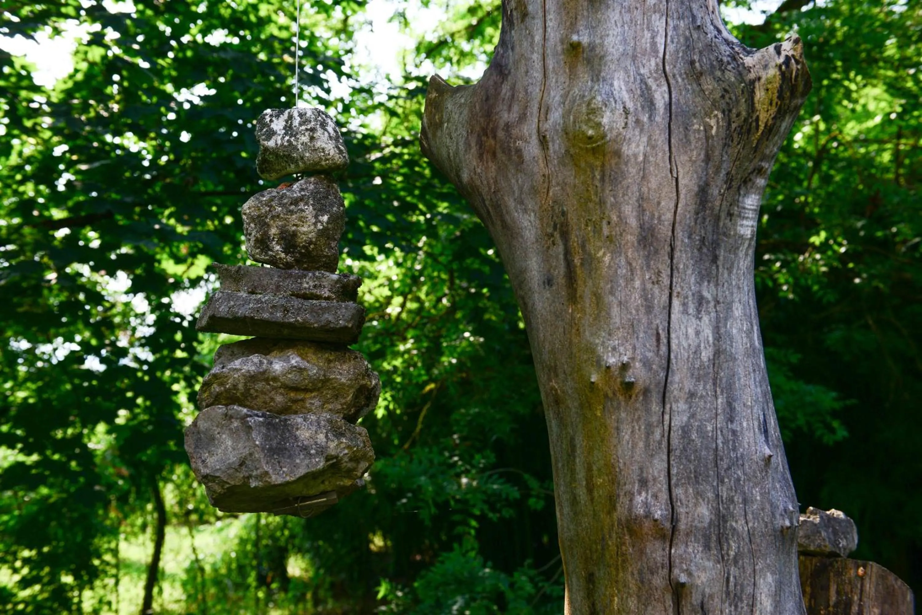 BioAgriturismo Vegan Campo di Cielo