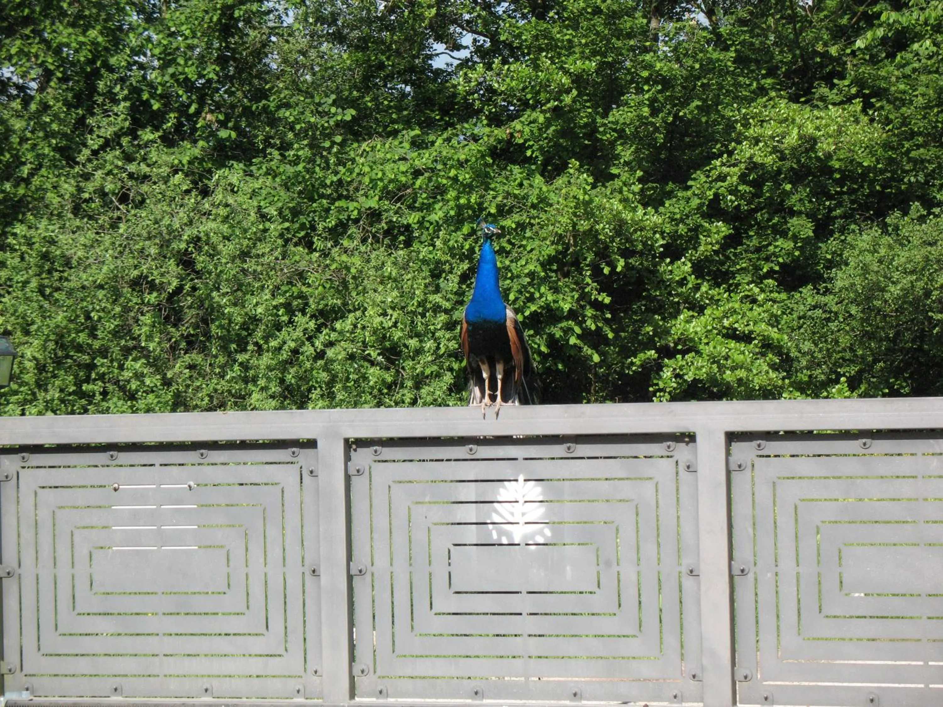 Decorative detail in BioAgriturismo Vegan Campo di Cielo