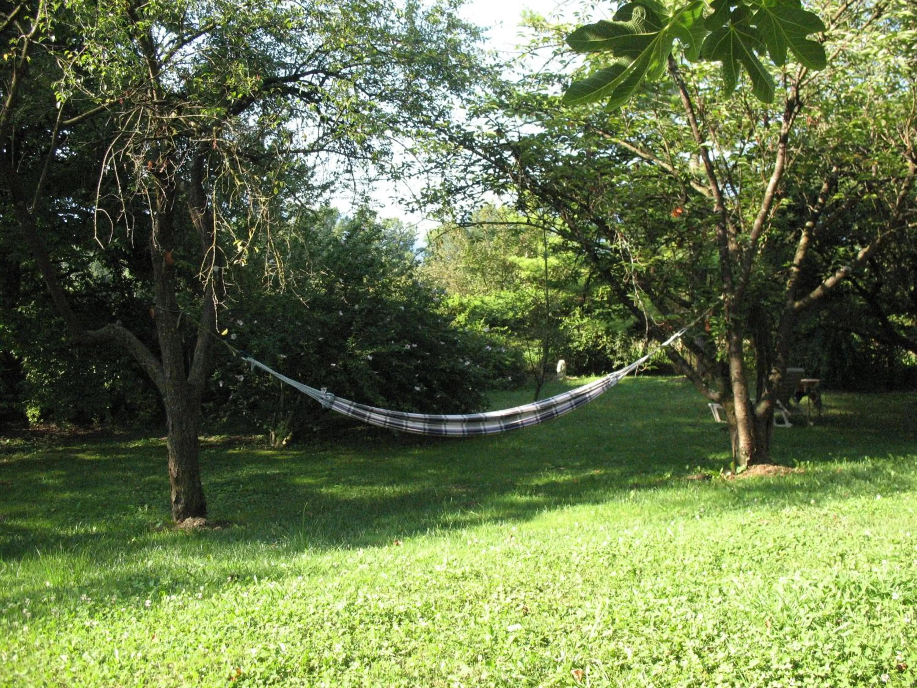 Garden in BioAgriturismo Vegan Campo di Cielo