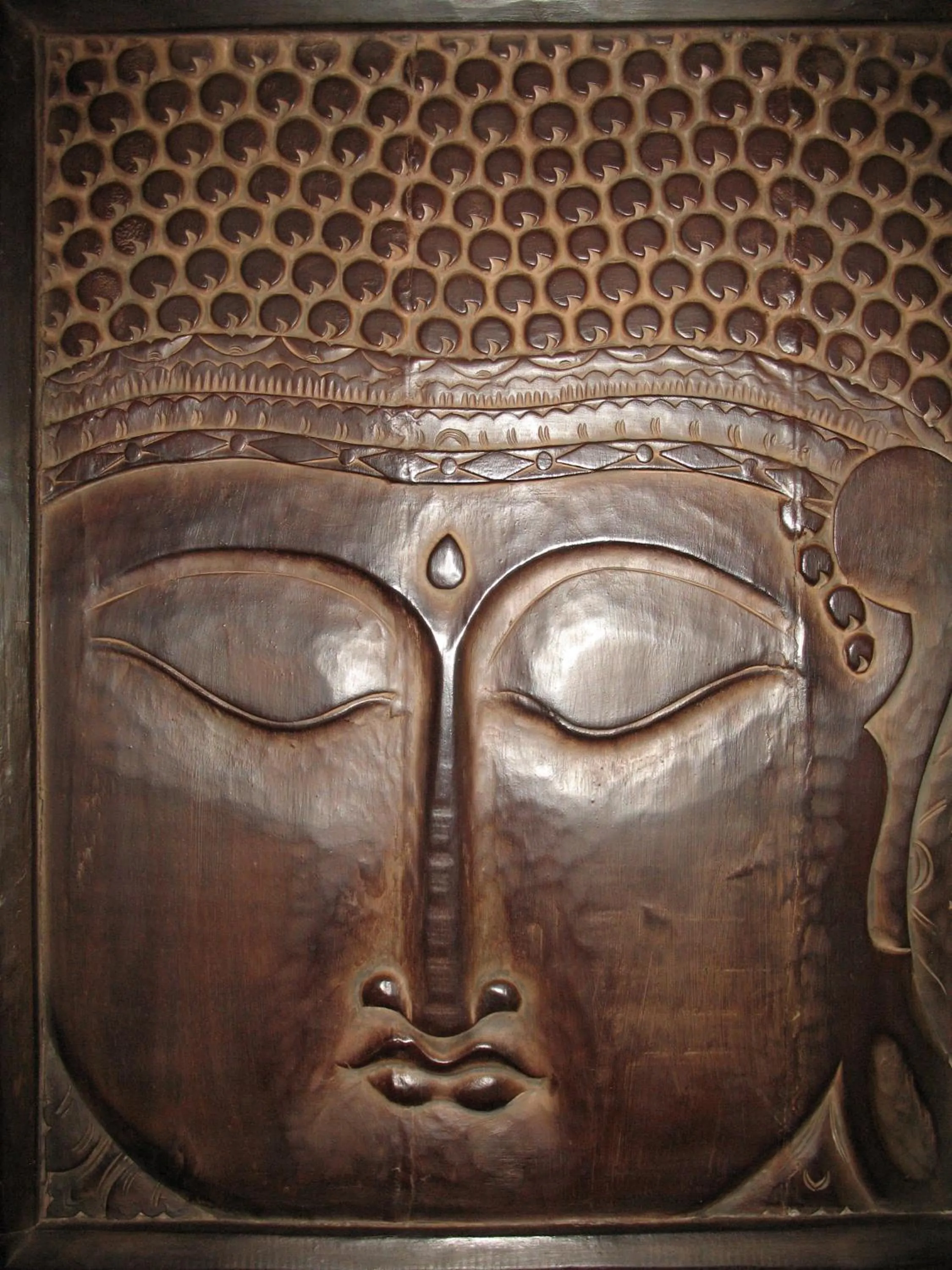 Library in BioAgriturismo Vegan Campo di Cielo