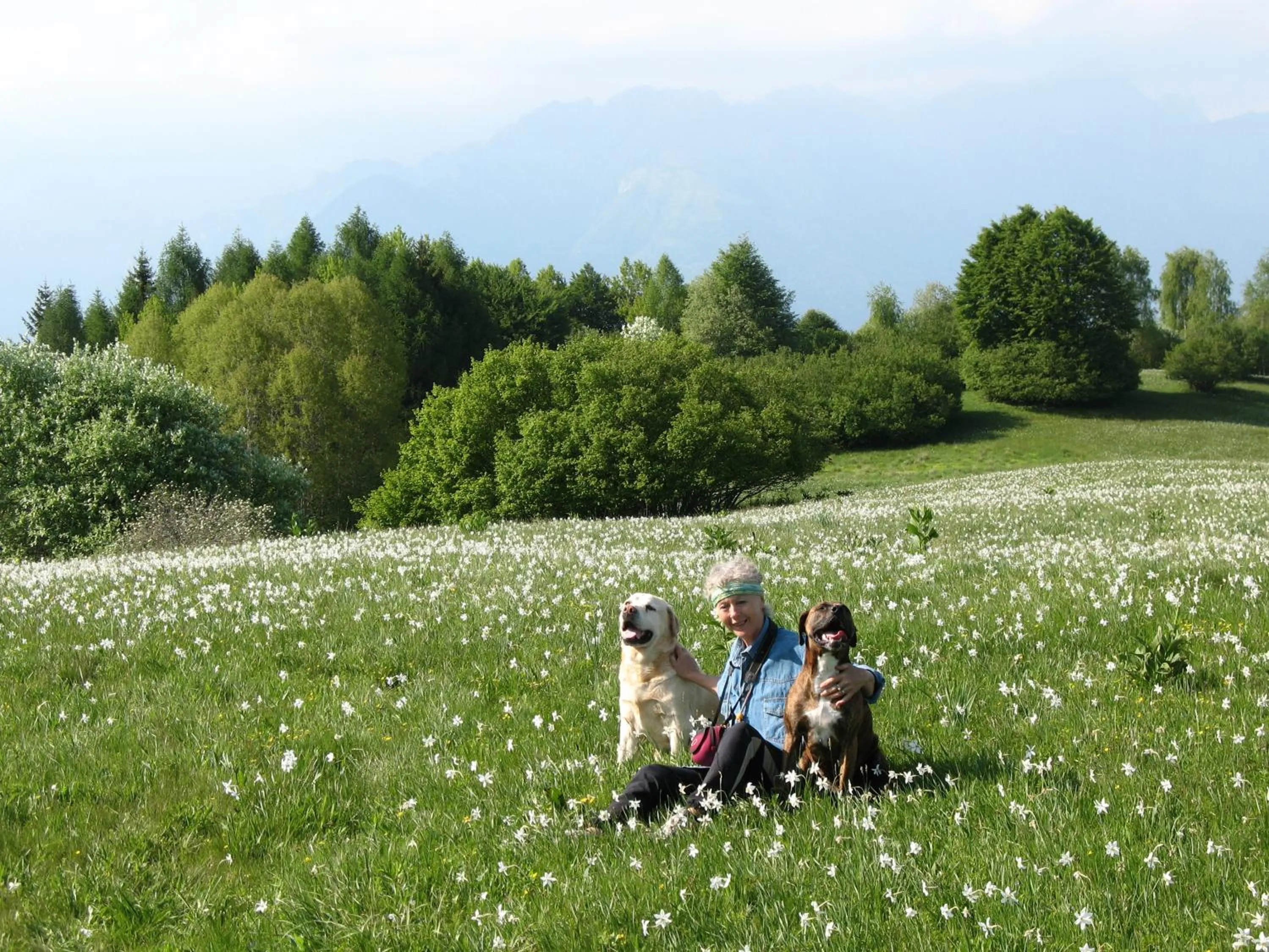 Pets in BioAgriturismo Vegan Campo di Cielo