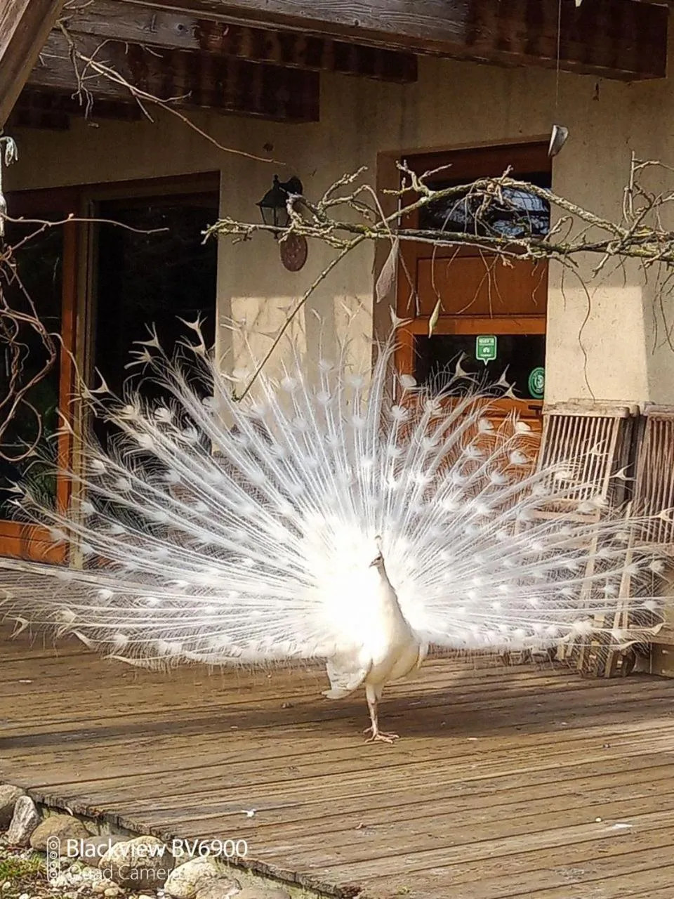 BioAgriturismo Vegan Campo di Cielo