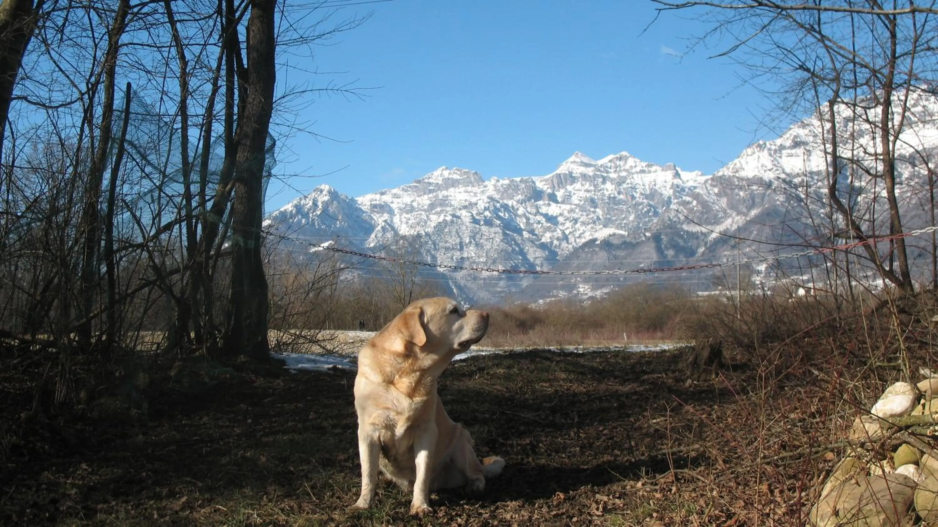Mountain view in BioAgriturismo Vegan Campo di Cielo