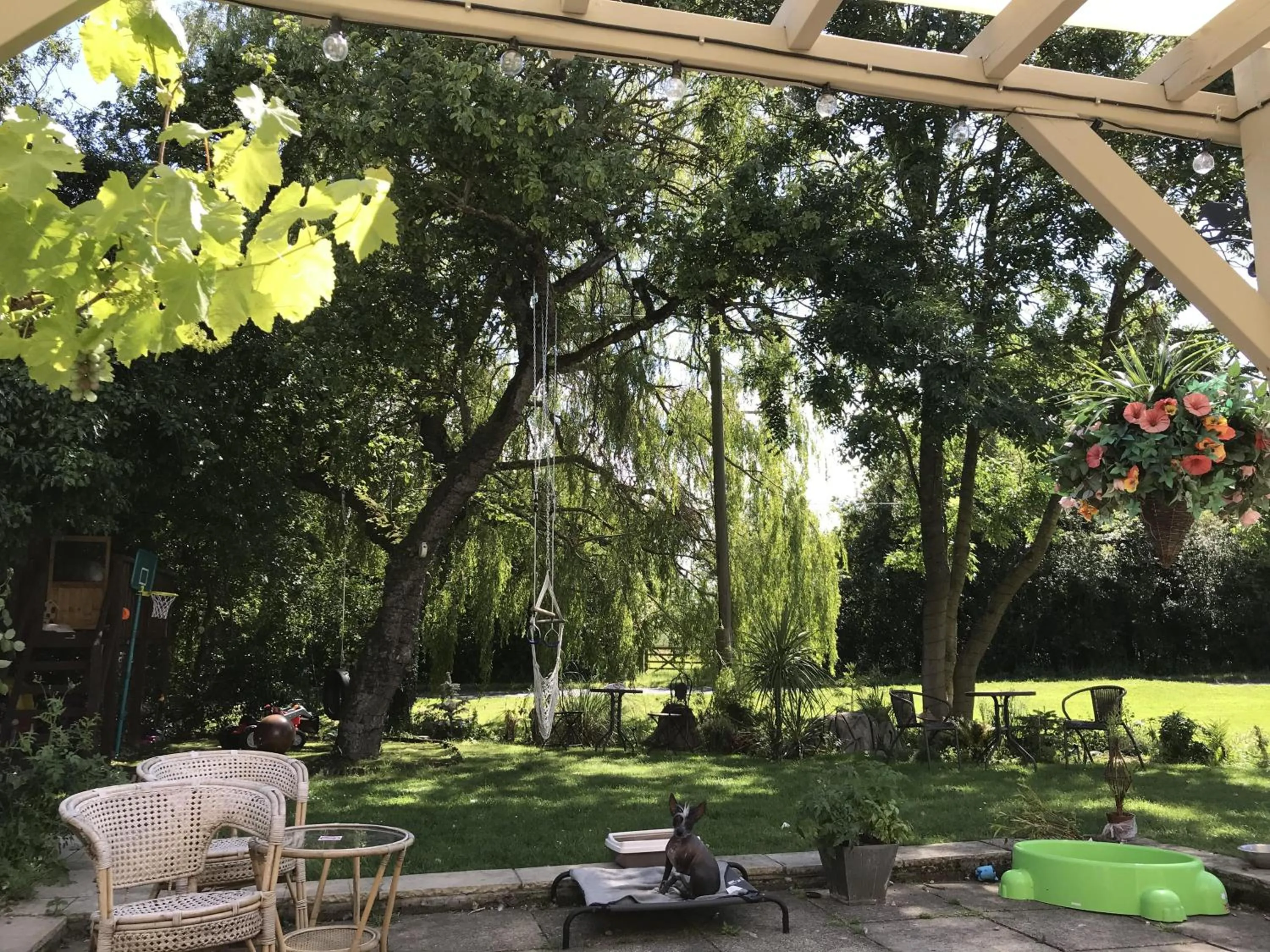 Property building in Old Thatch Bambers Green