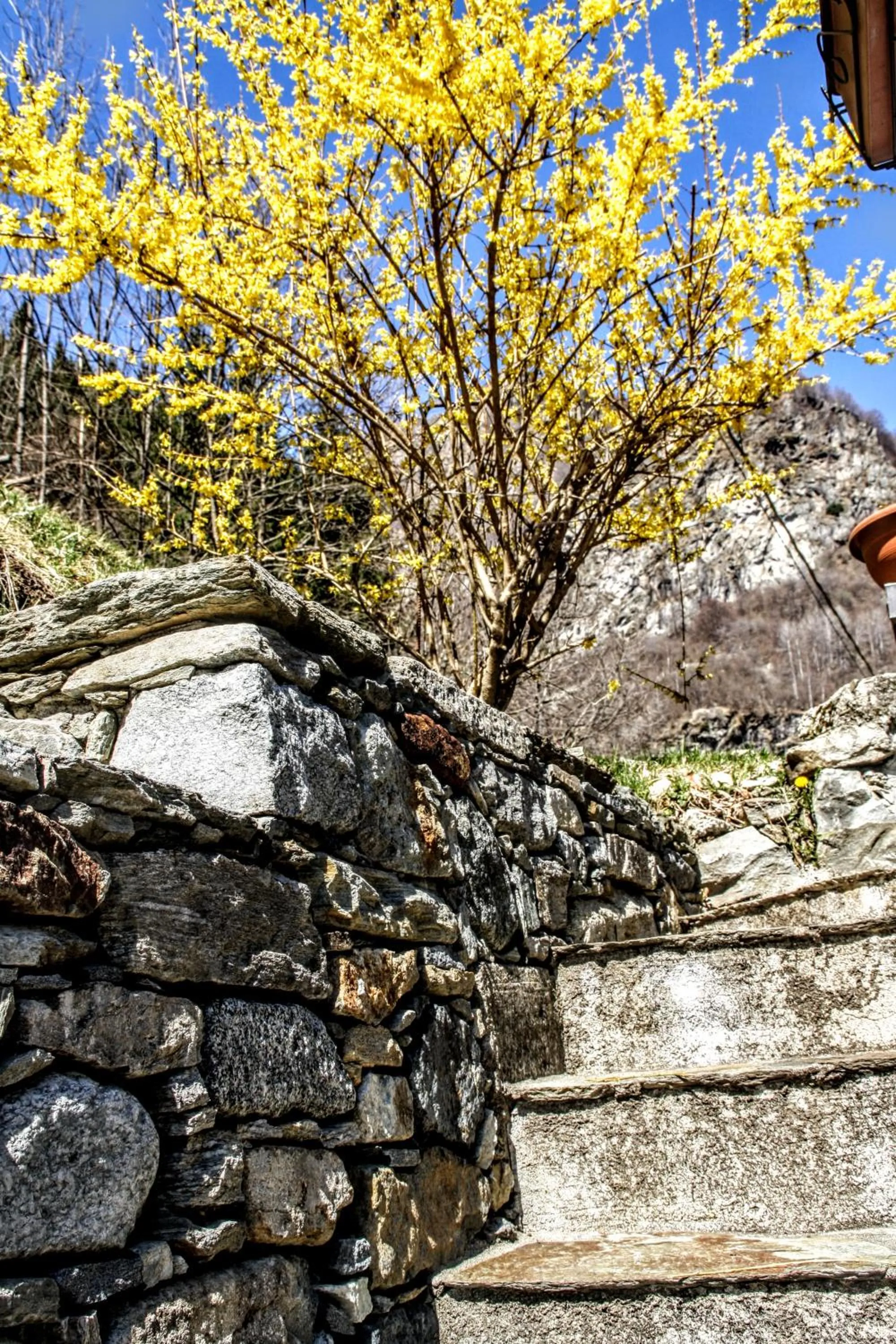 Spring in Casa Rimasco