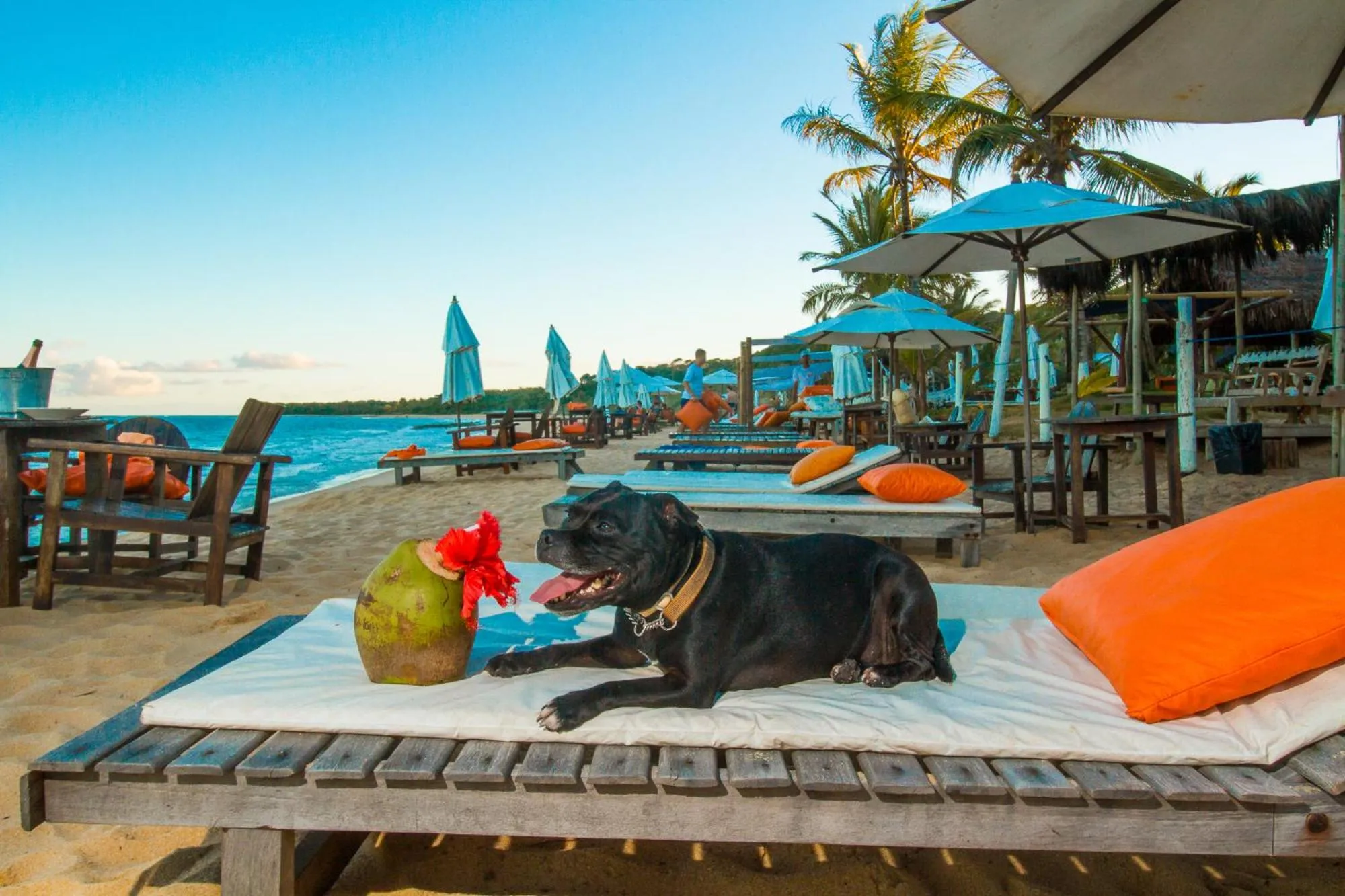 Day in Travel Inn Pousadas & Beach Club Trancoso