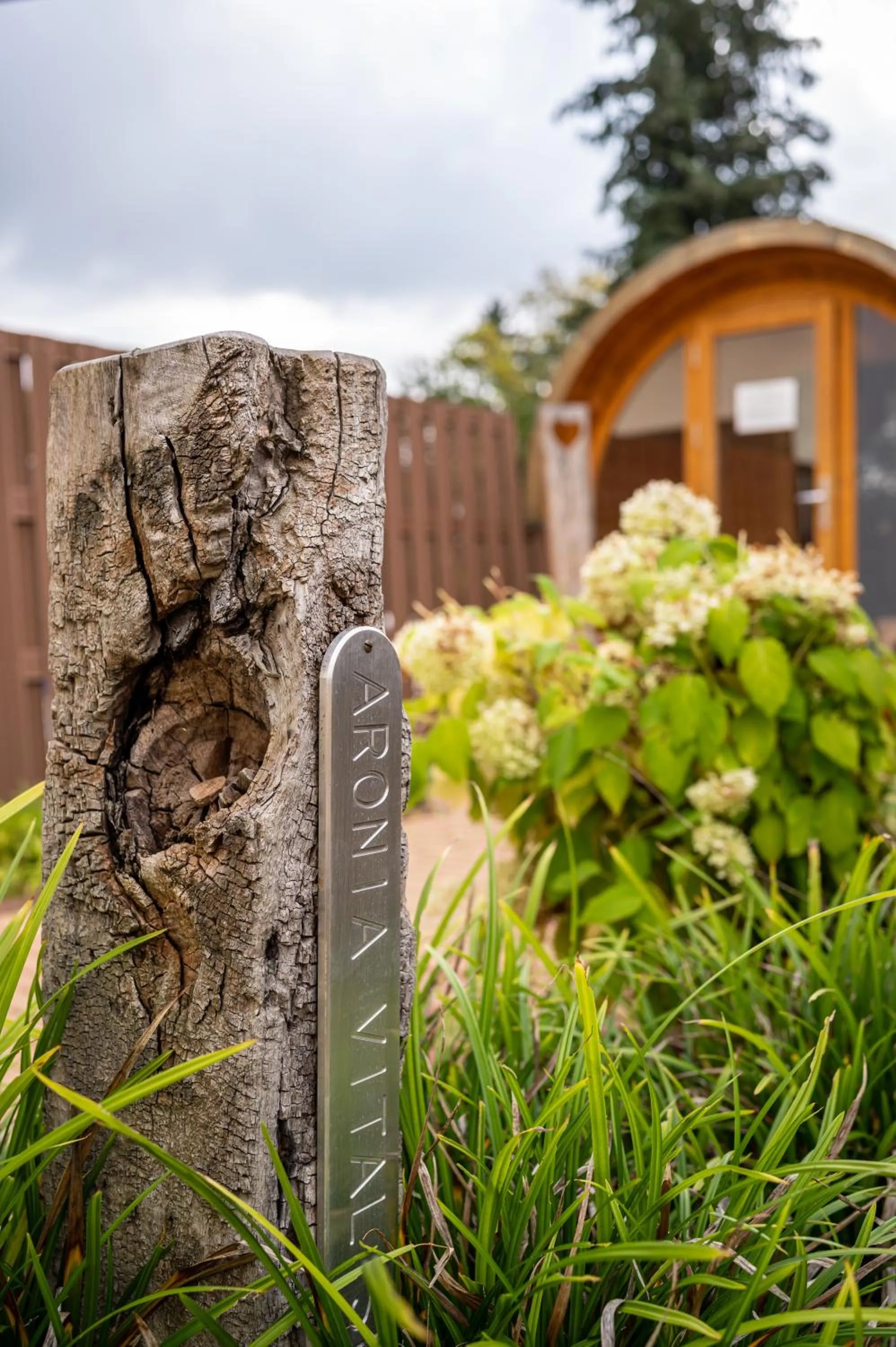 Garden in Akzent Aktiv & Vital Hotel Thüringen