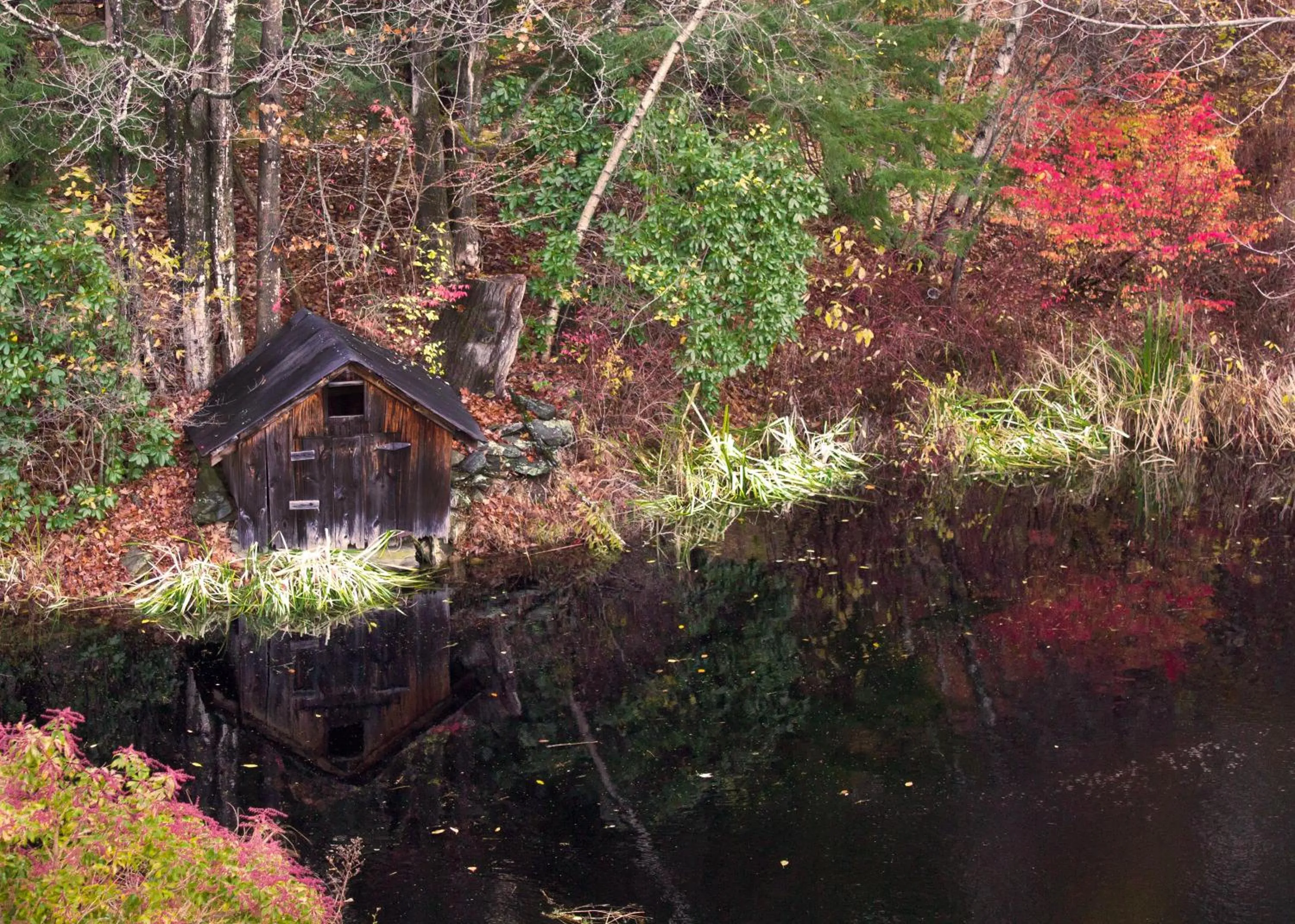 Garden in Windham Hill Inn