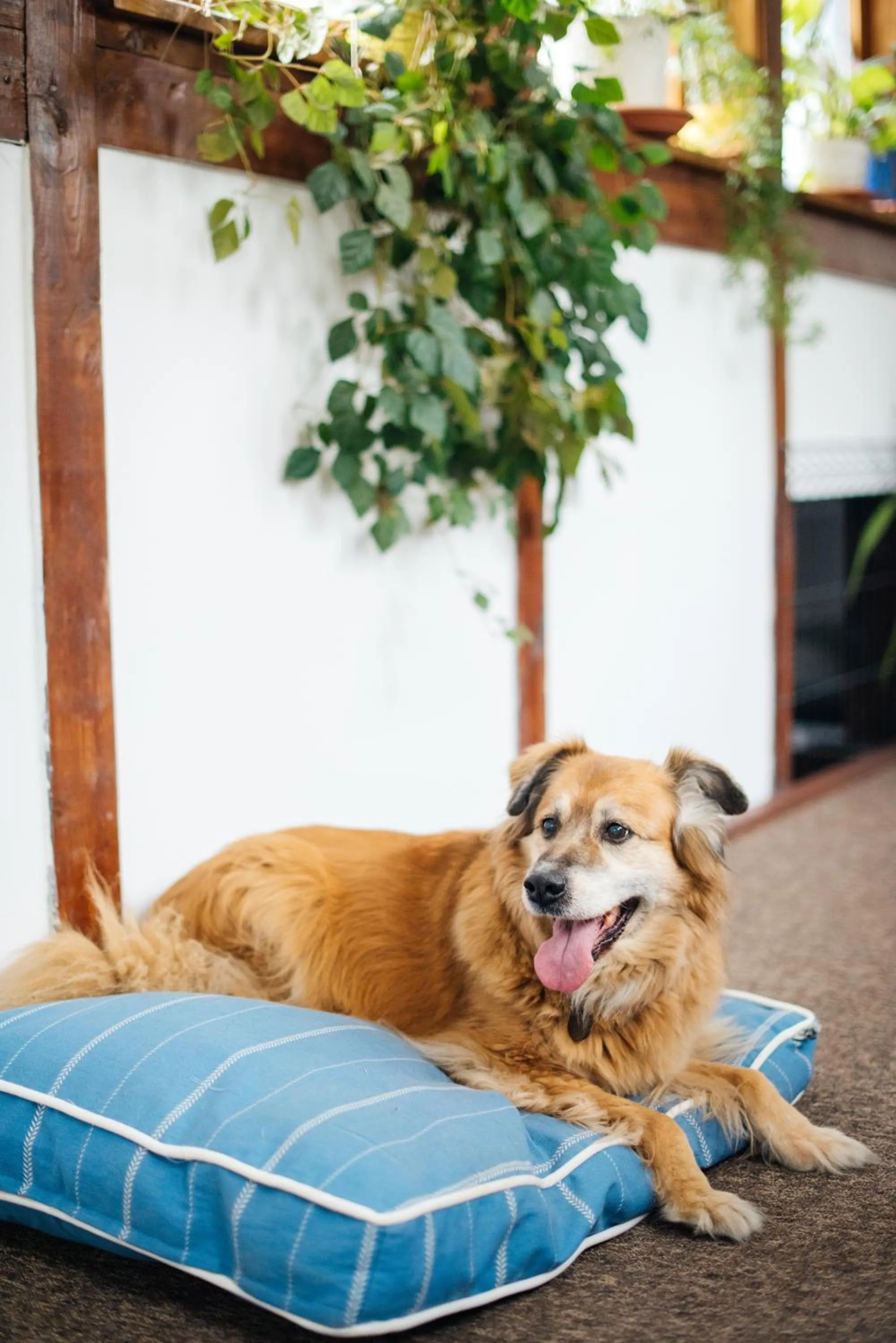 Communal lounge/ TV room in Villa Lulu Piaseczno