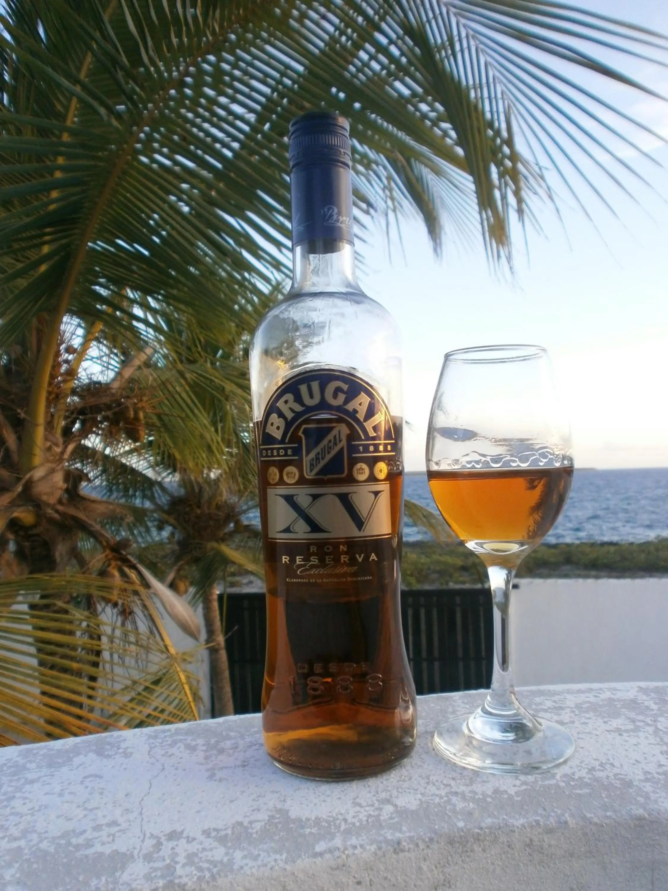 Garden view in Guesthouse Villa La Isla