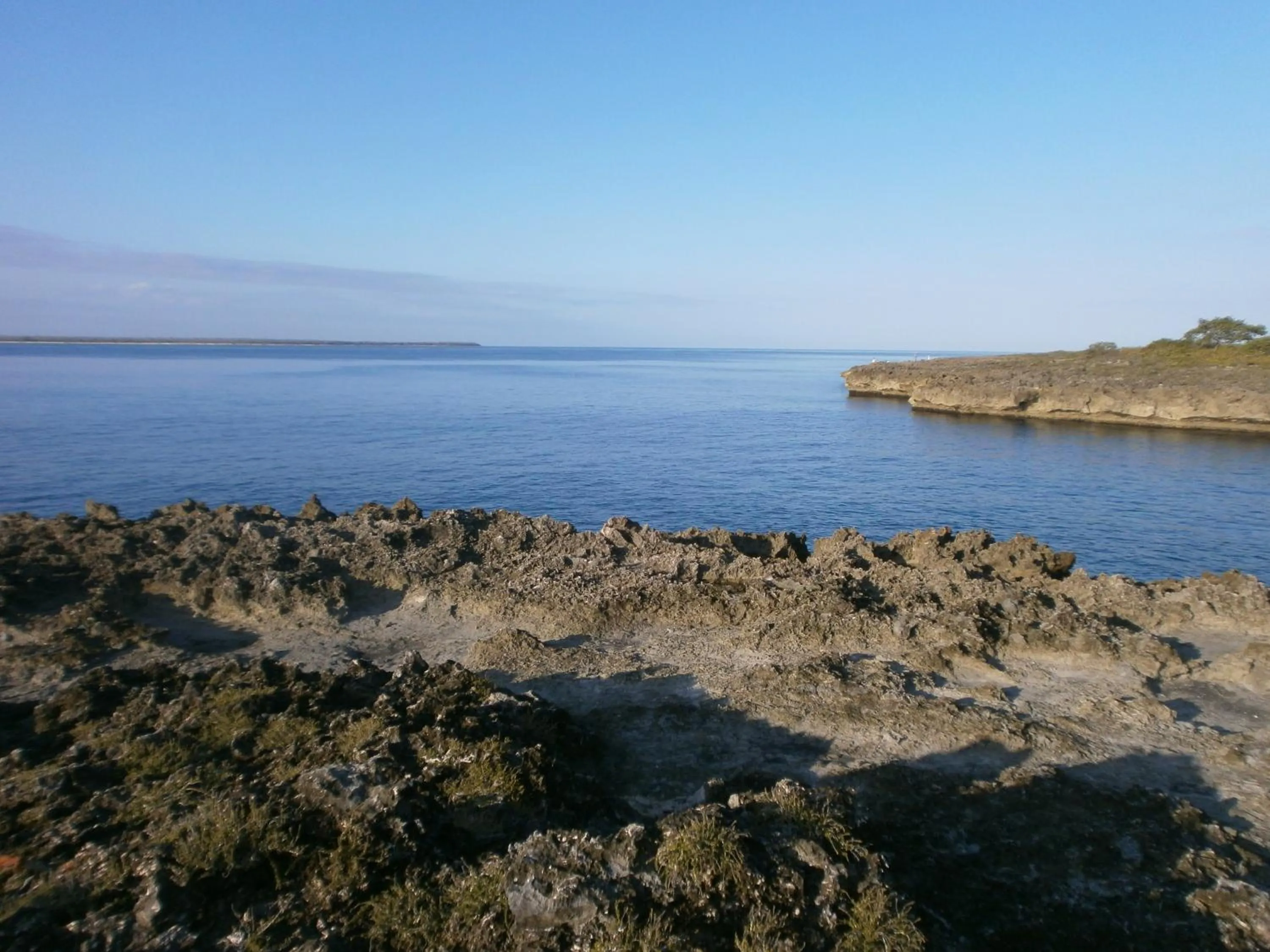 Patio in Guesthouse Villa La Isla