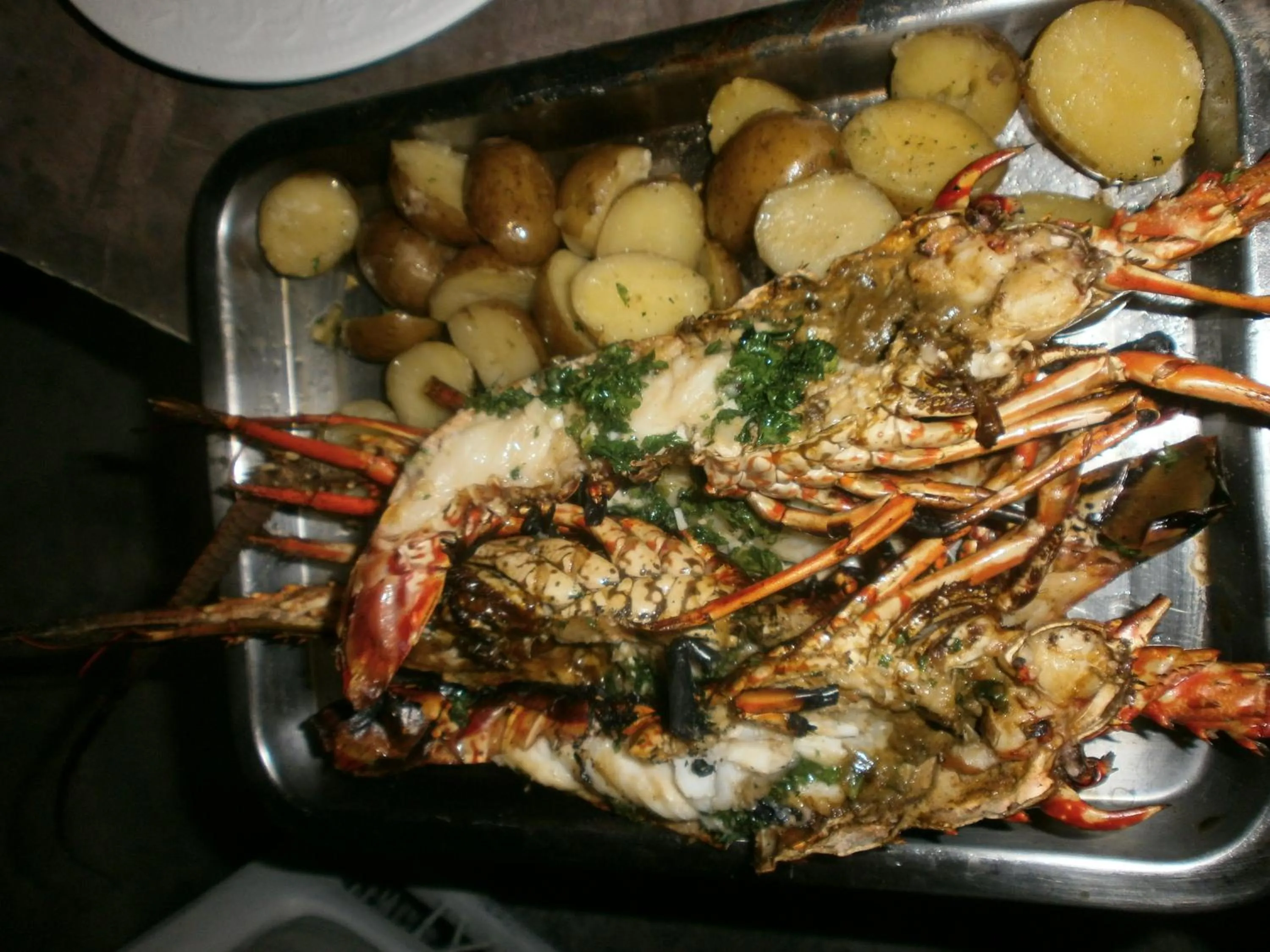 BBQ facilities in Guesthouse Villa La Isla