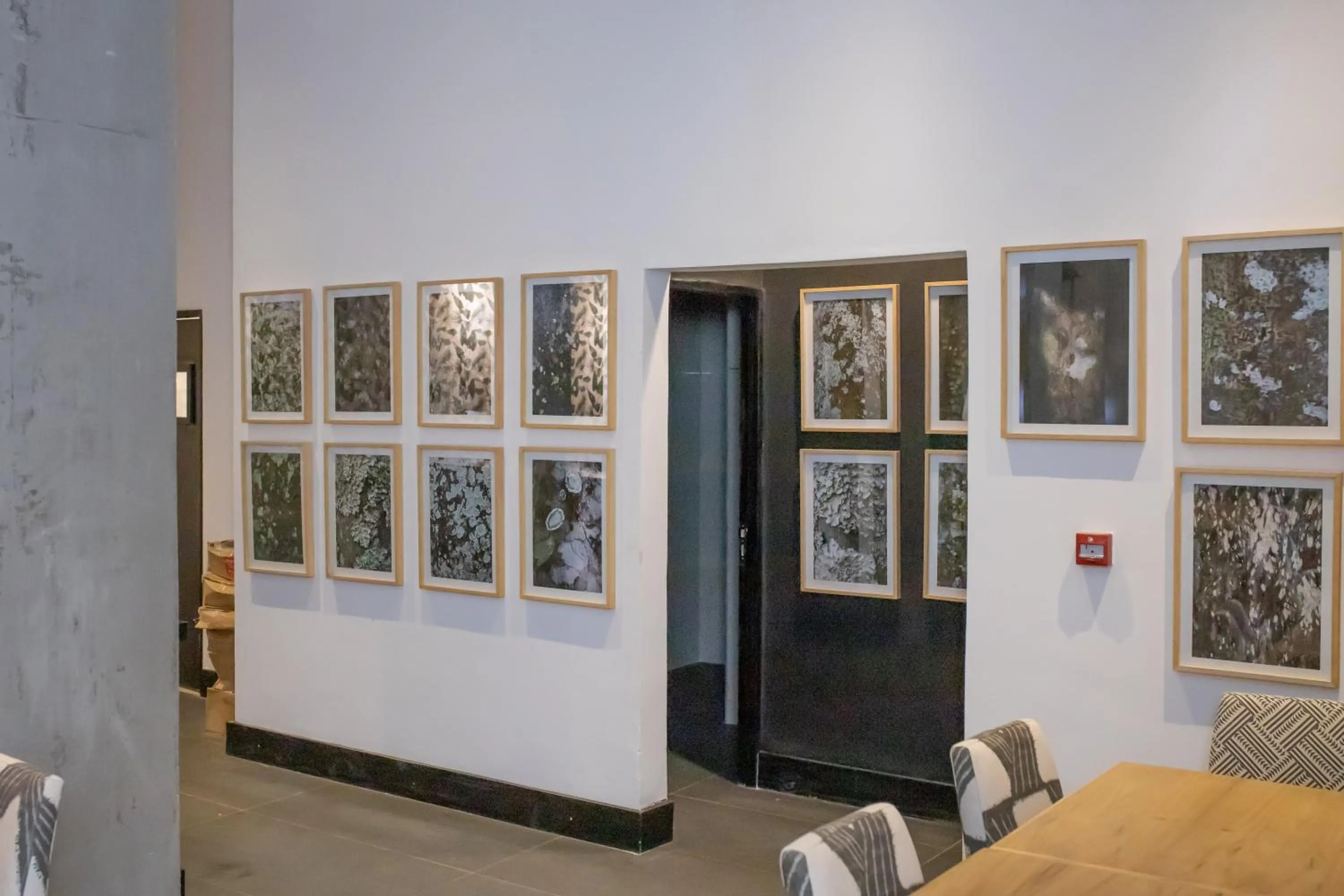 Lounge or bar in O2 Hotel Iguazu