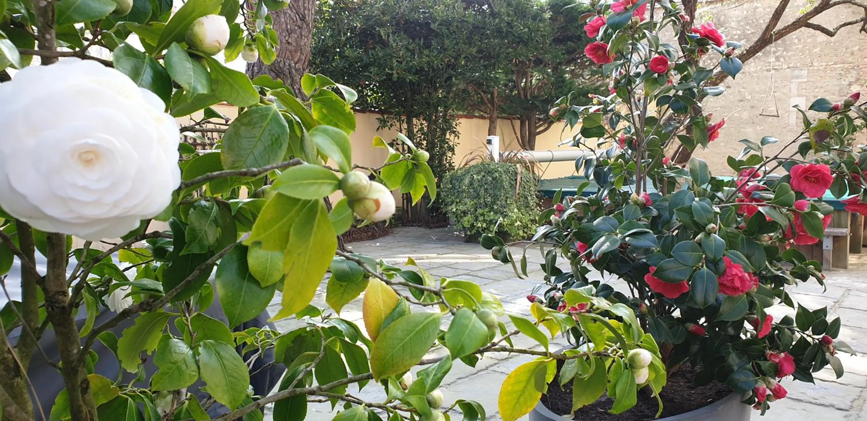 Chambres d'hôtes Le Clos Bleu