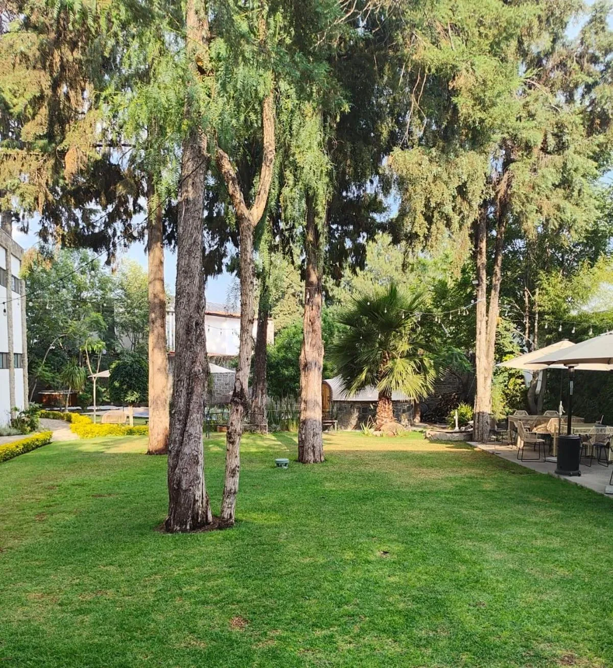 Natural landscape in Hotel Boutique Camino Del Bosque