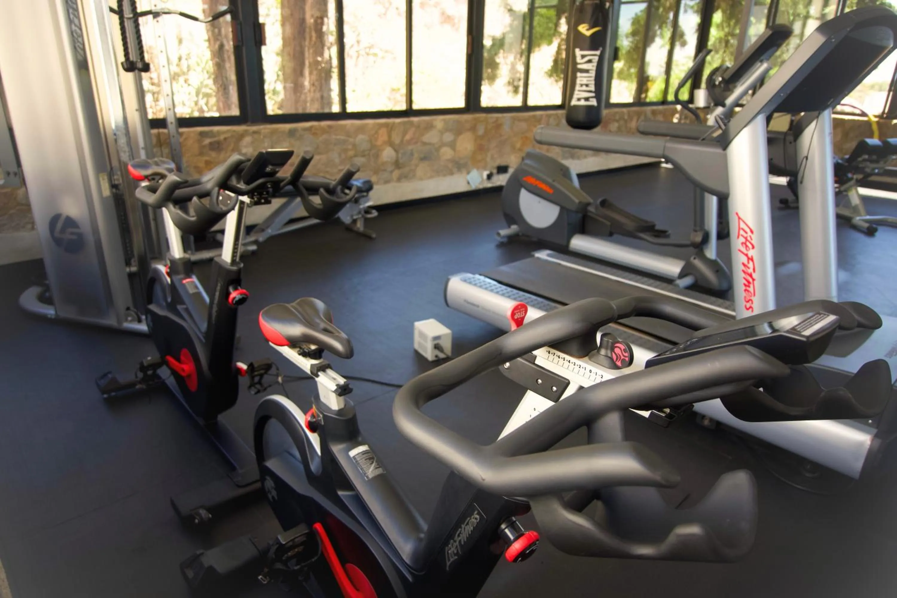 Fitness centre/facilities in Hotel Boutique Camino Del Bosque