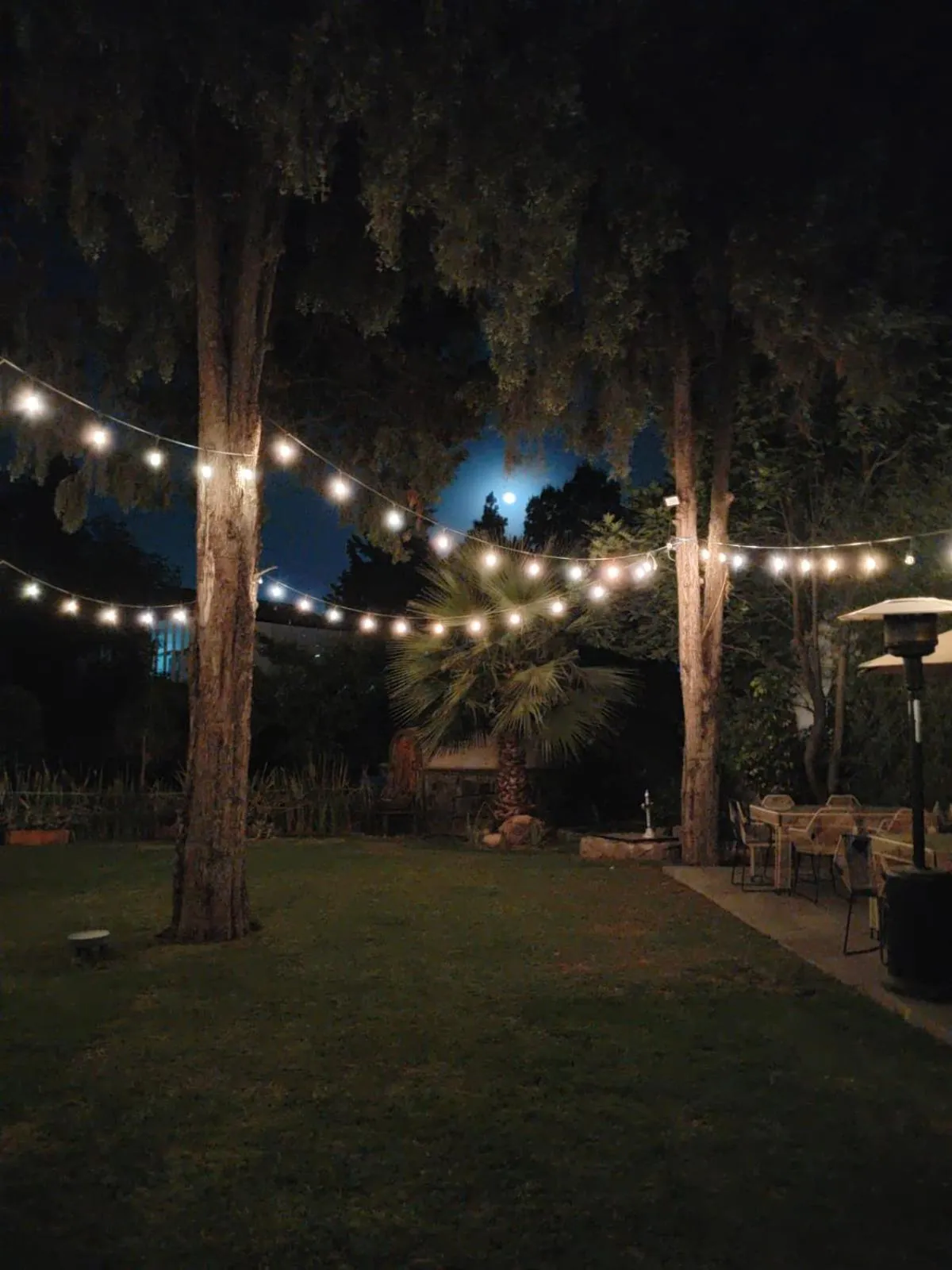 Night in Hotel Boutique Camino Del Bosque