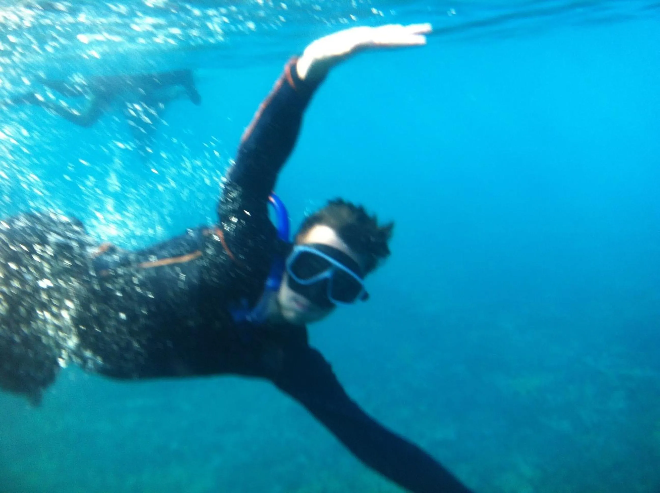 Activities in The Reinhold Guesthouse Bali