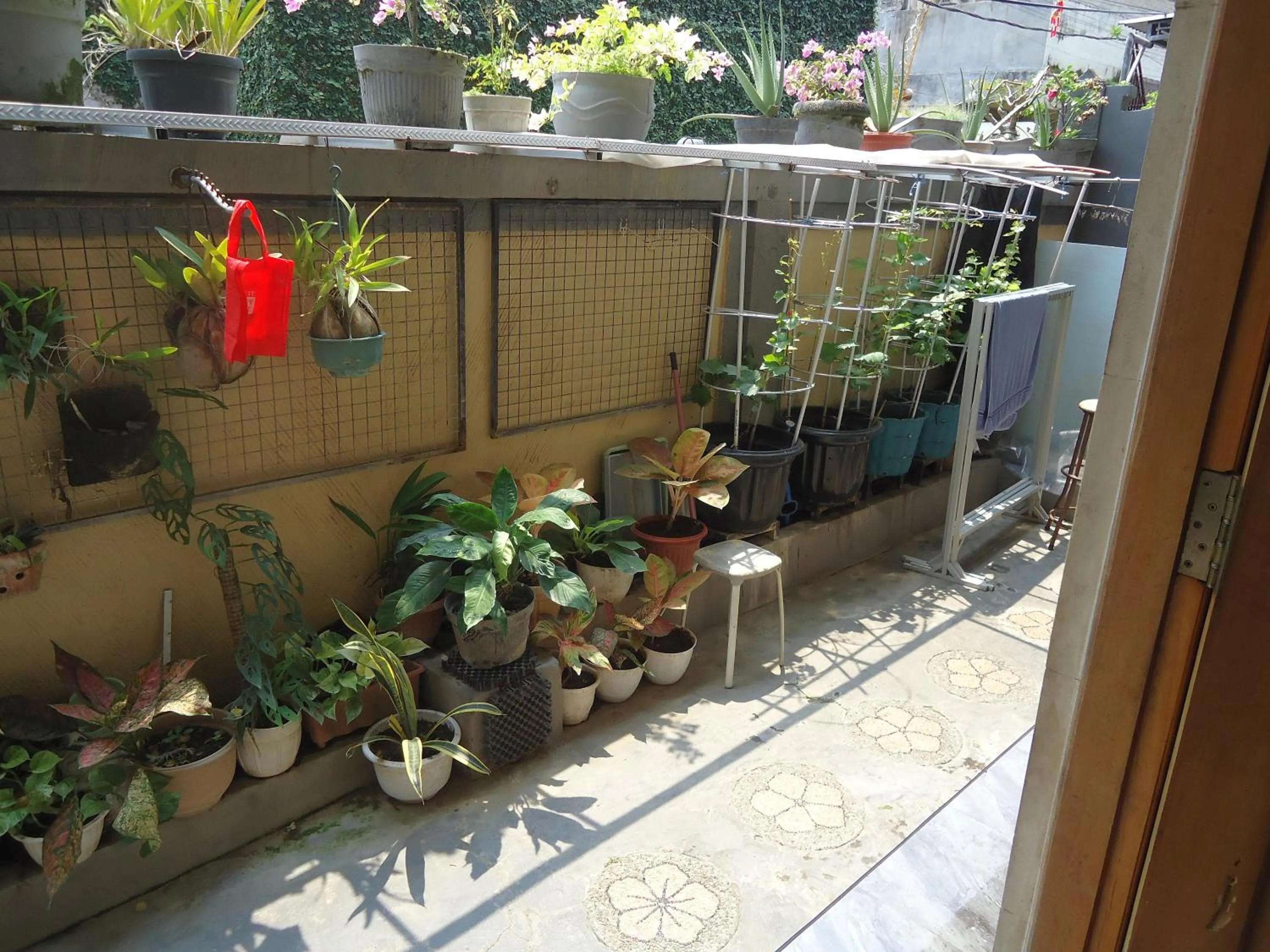 Garden in The Reinhold Guesthouse Bali