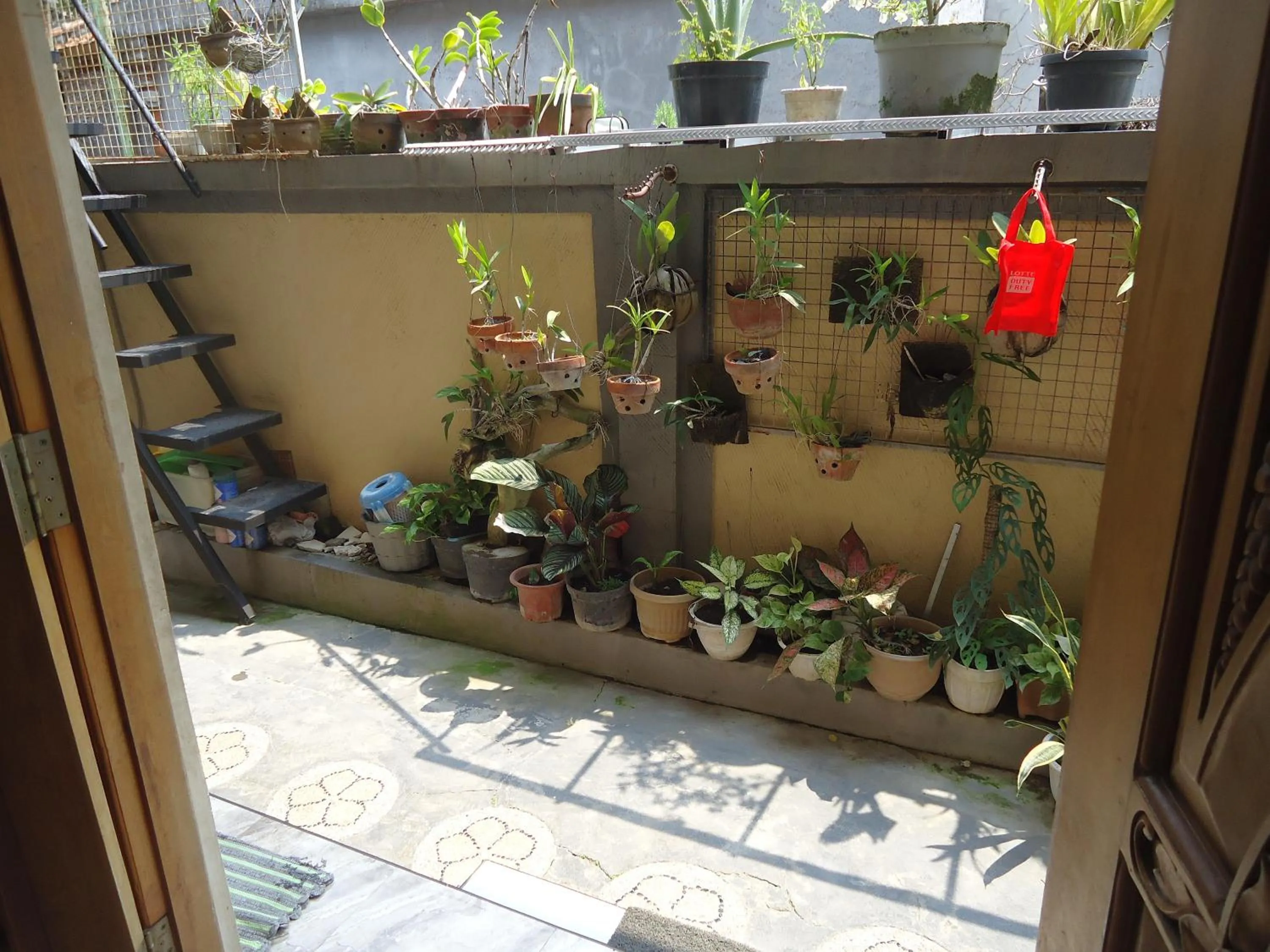 Garden in The Reinhold Guesthouse Bali