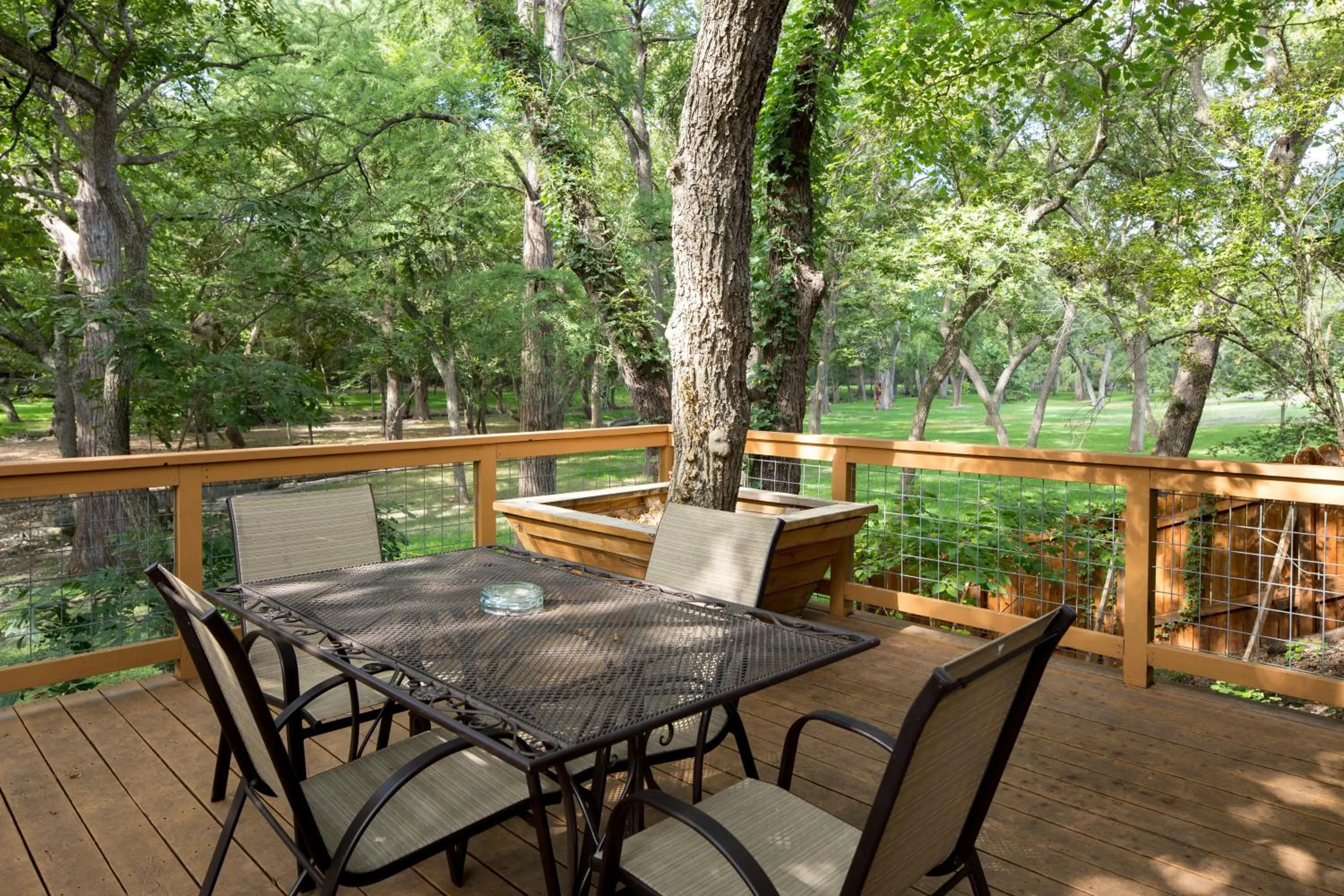 View (from property/room) in Cypress Creek Cottages