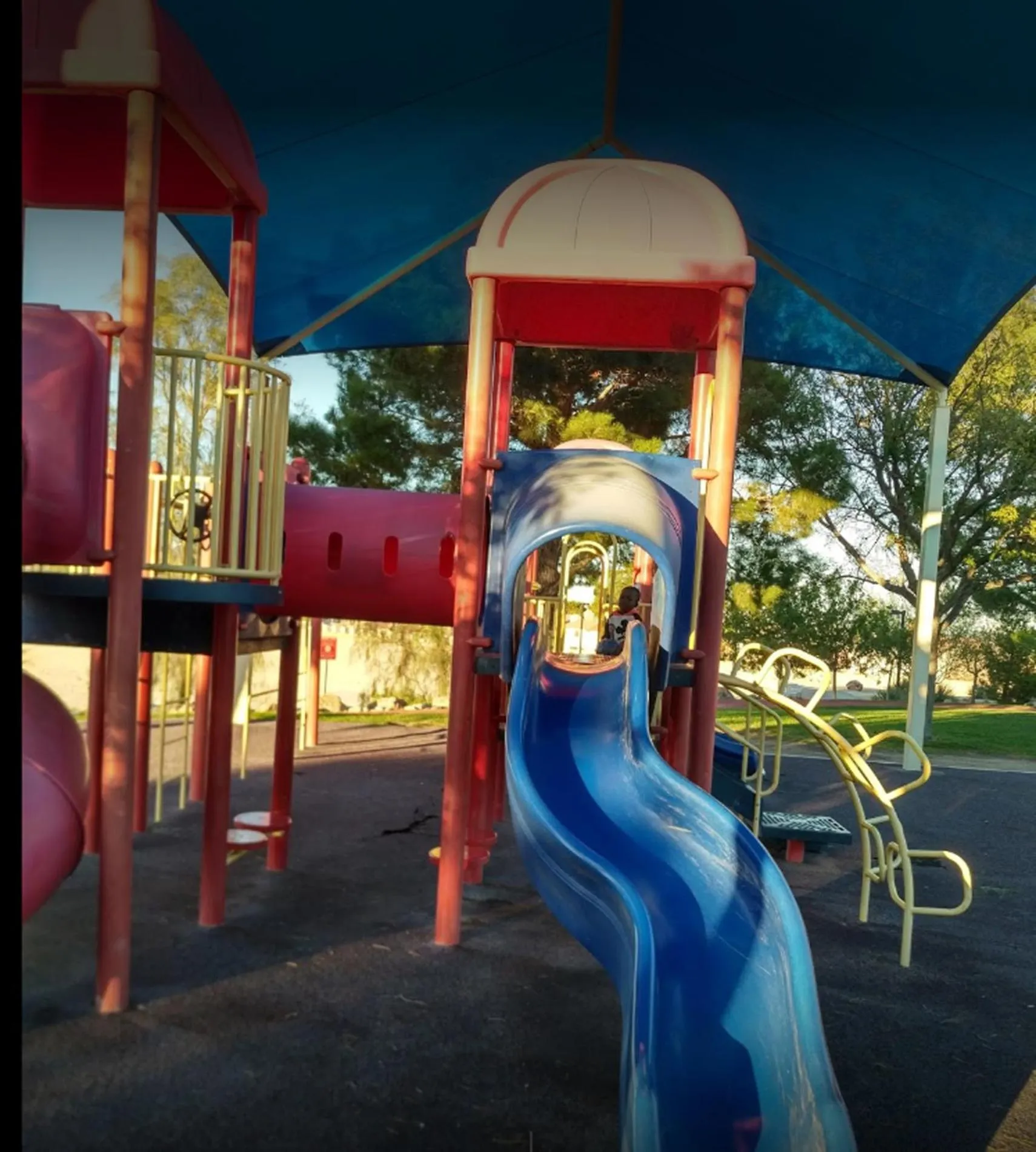 Activities in The Buddha Estate