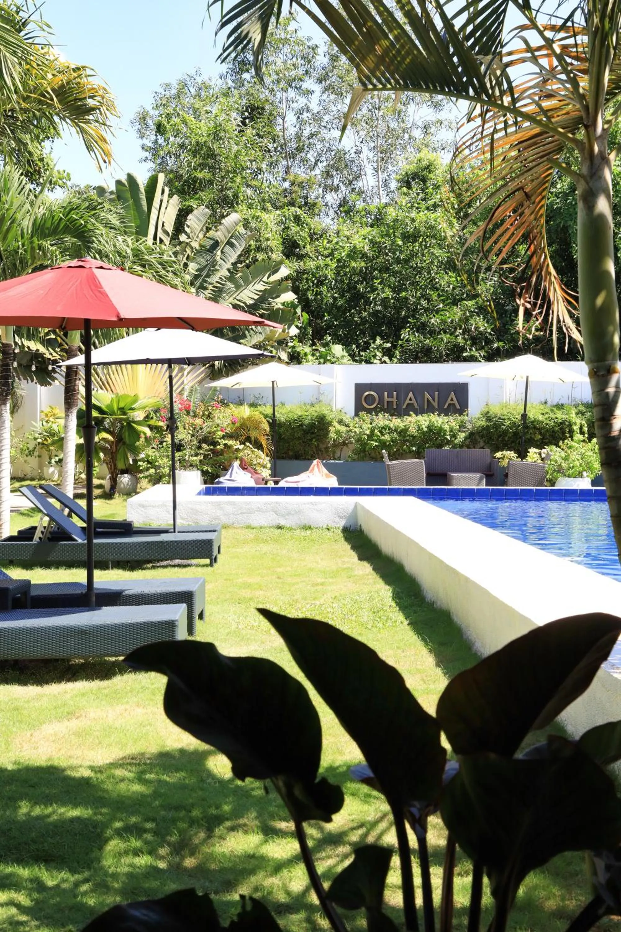 OHANA, Panglao Resort.