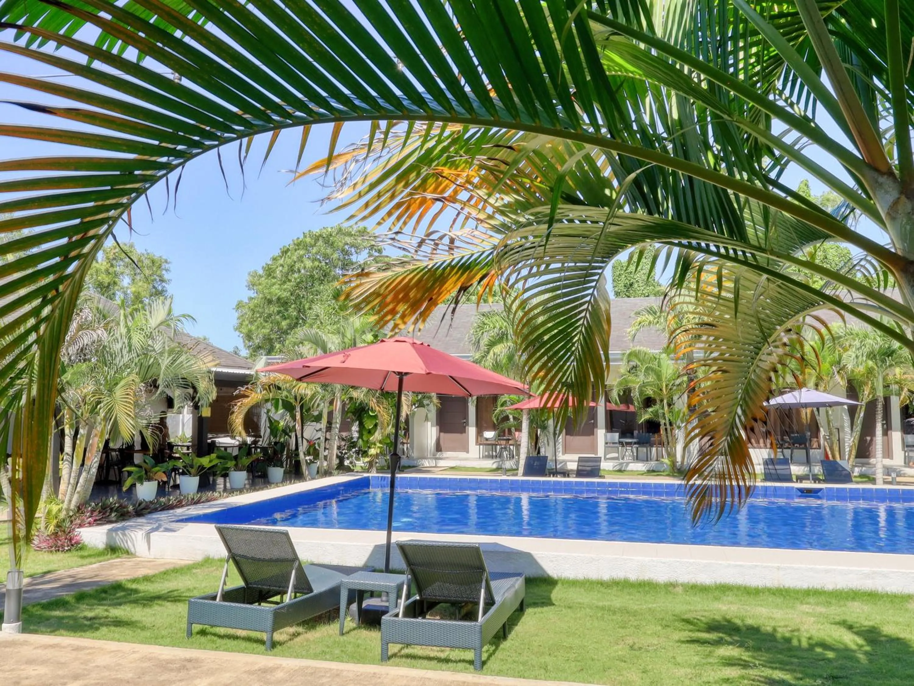 Swimming pool in OHANA, Panglao Resort.