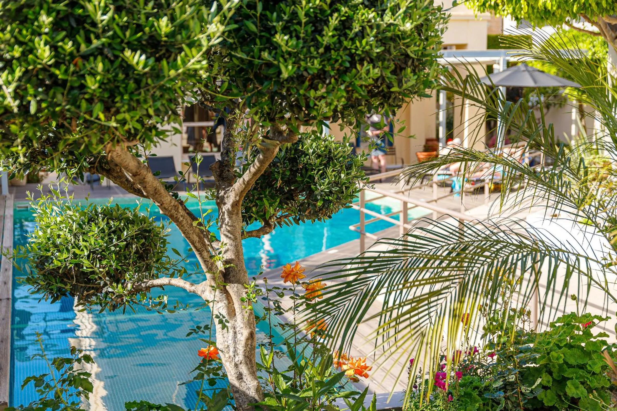 Swimming pool in Creta Elena