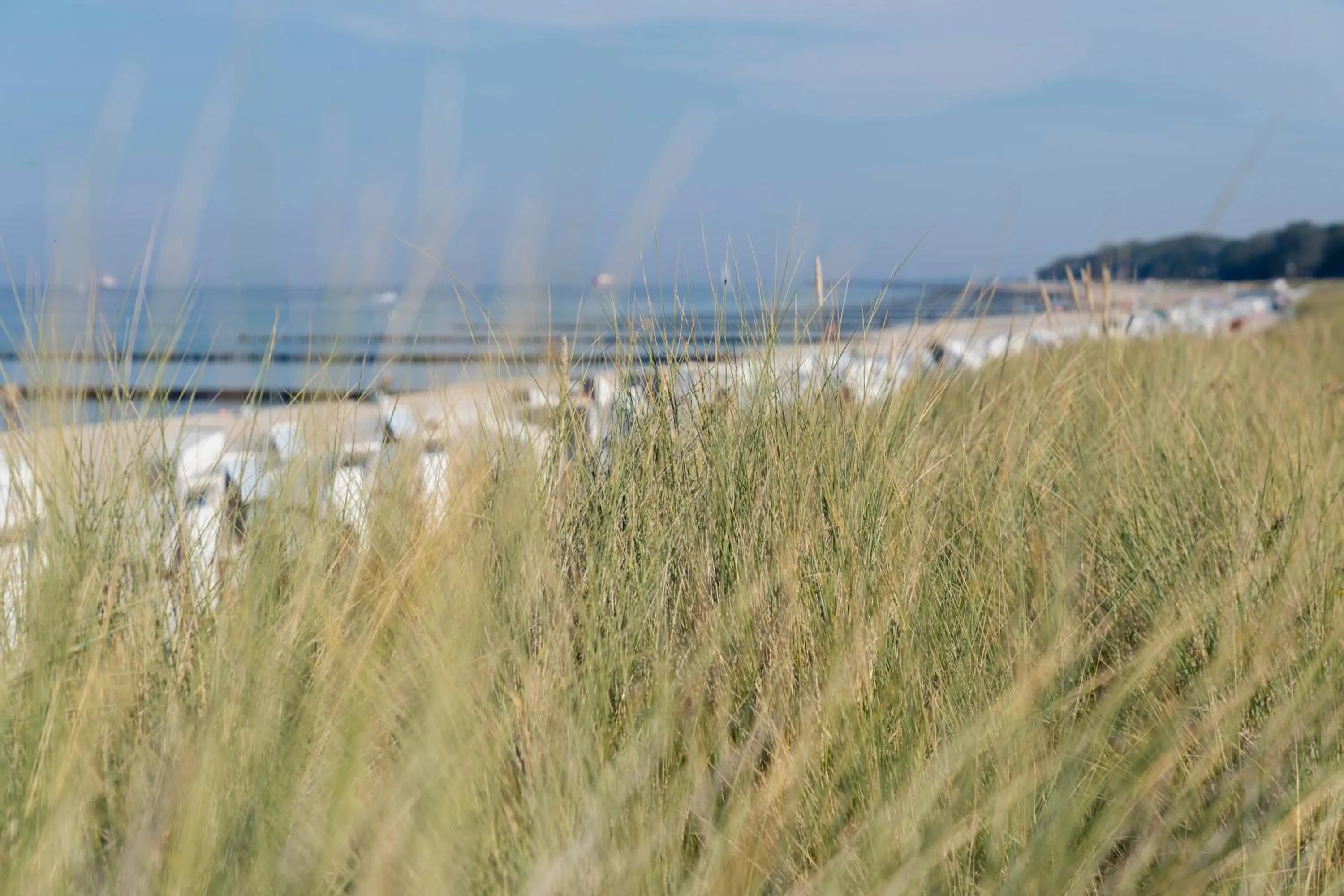 Area and facilities in meergut HOTELS