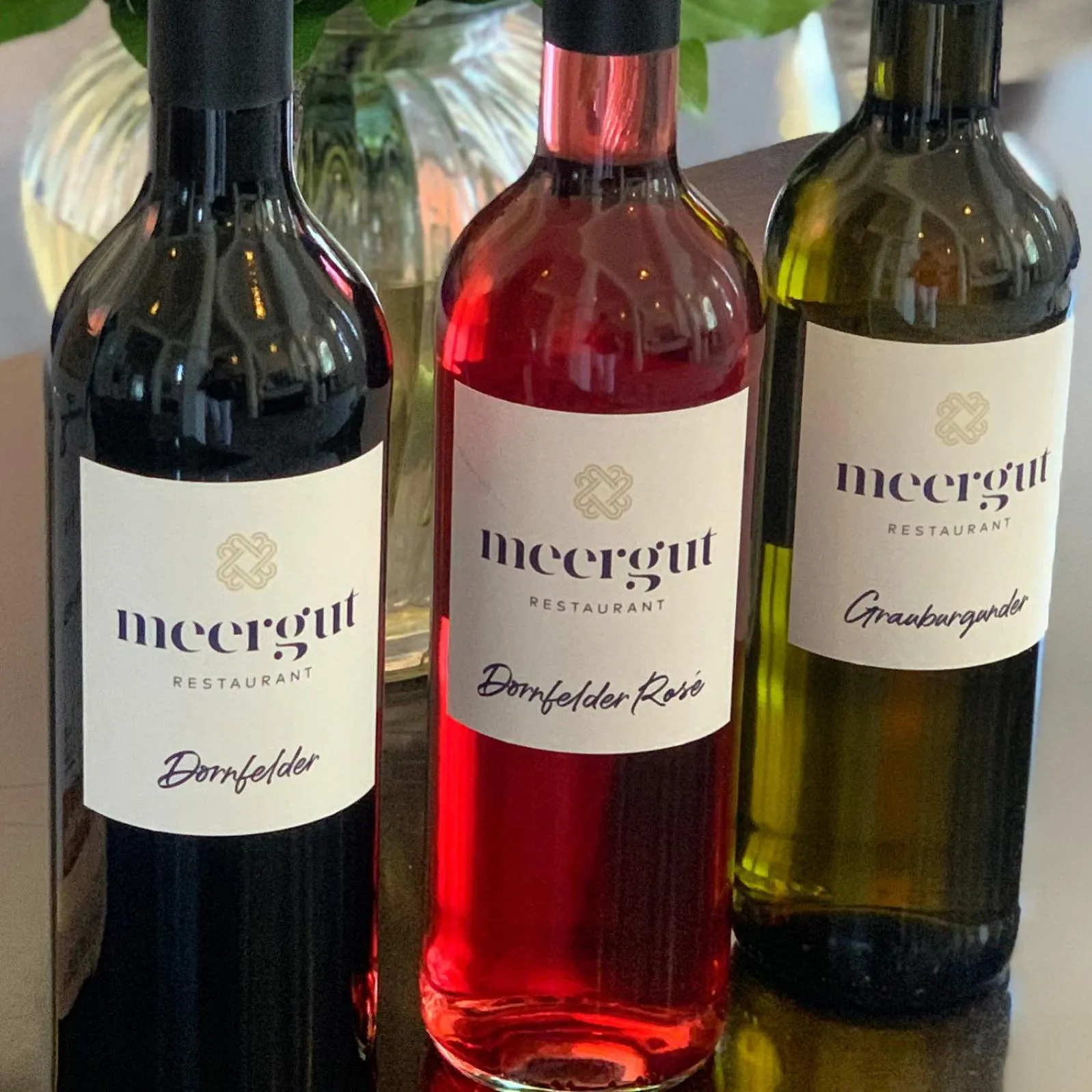 Food and drinks in meergut HOTELS