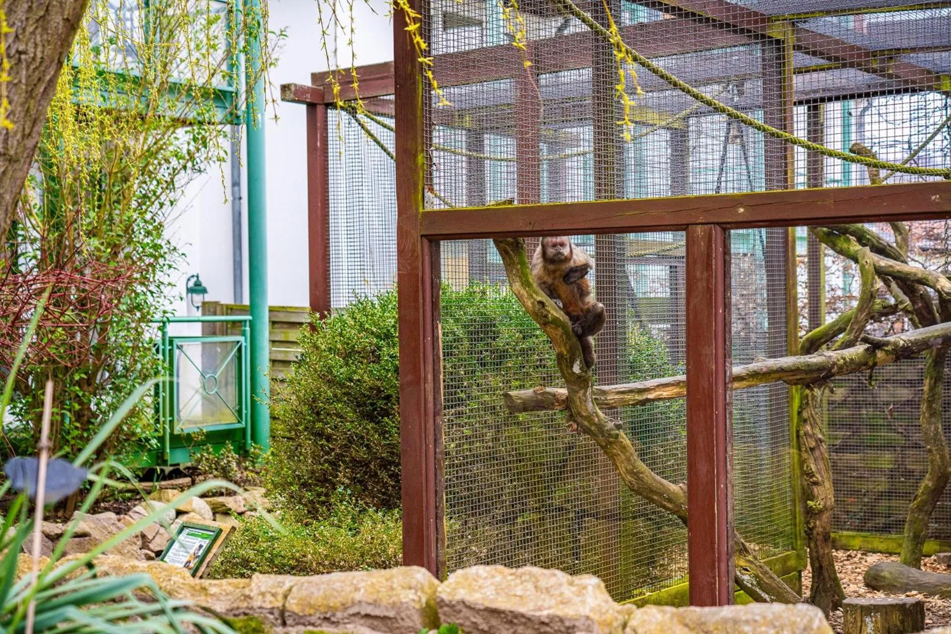 Activities in Aparthotel Tropenhaus Bansin